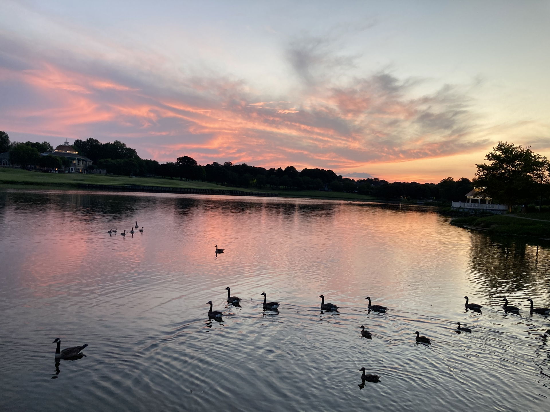 Pond in Wyndham, Virginia.