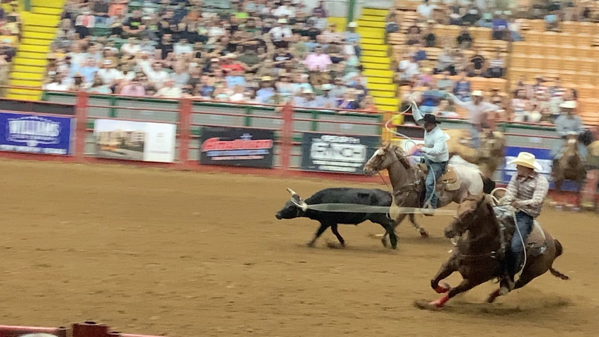 Two cowboys who are team calf-roping at a rodeo located in Fort…