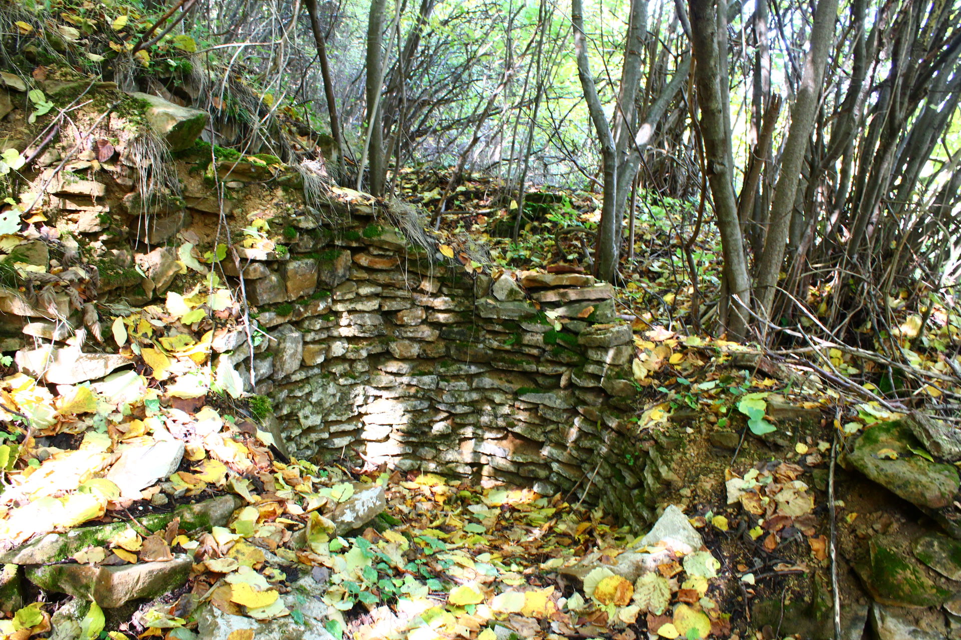 Ruins_Roman_Bath_Garlo_Village_Pernik_District_Bulgaria_2