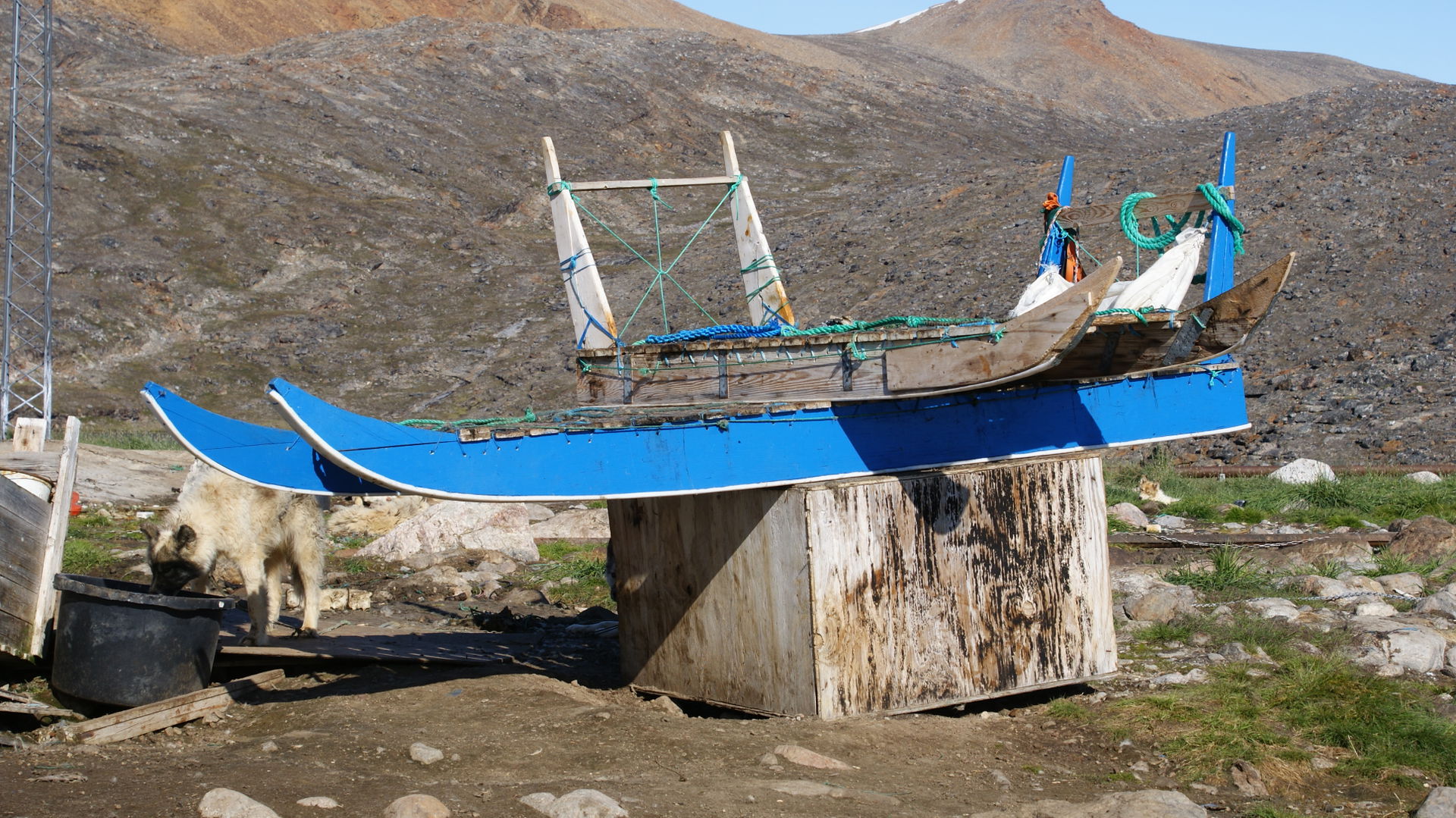 Dogsleds in Nuussuaq, Sugar Loaf Bay, Upernavik Archipelago, Gr…