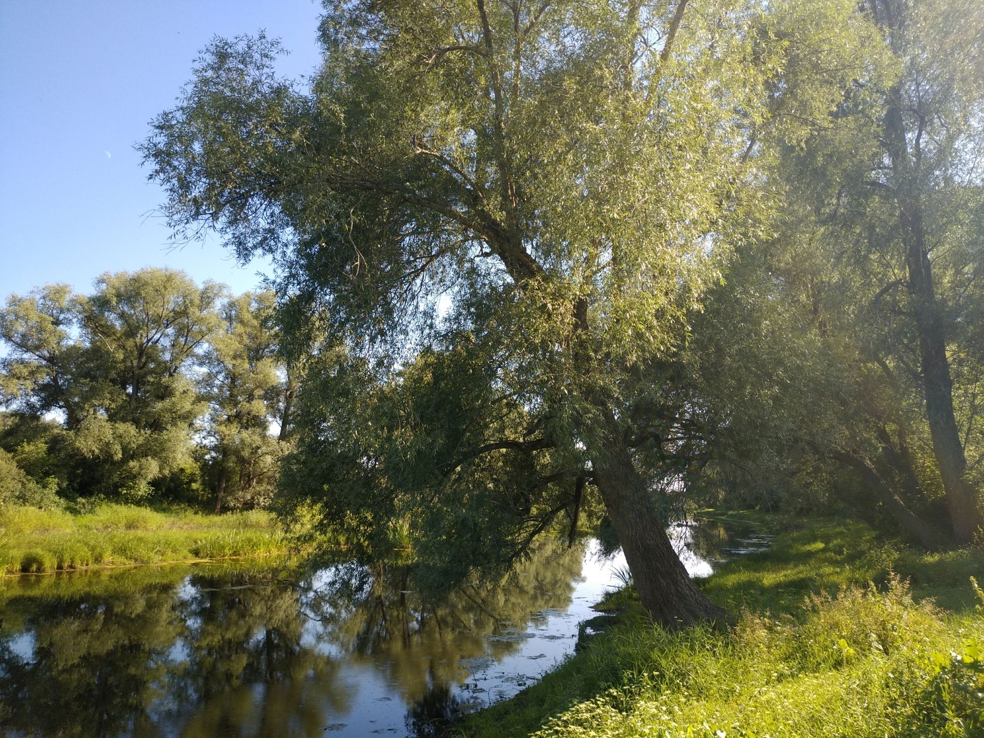 This is a photo of a protected area in Kazakhstan