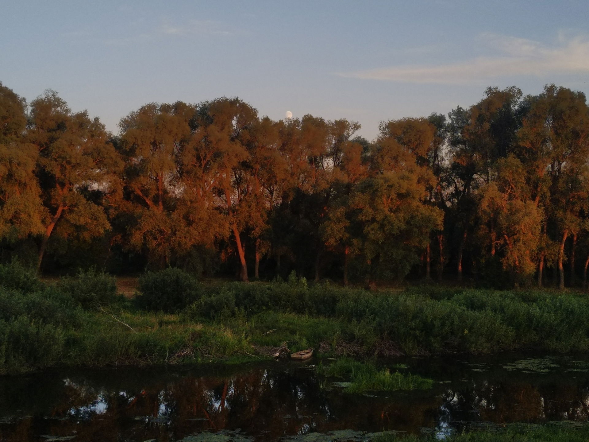 This is a photo of a protected area in Kazakhstan