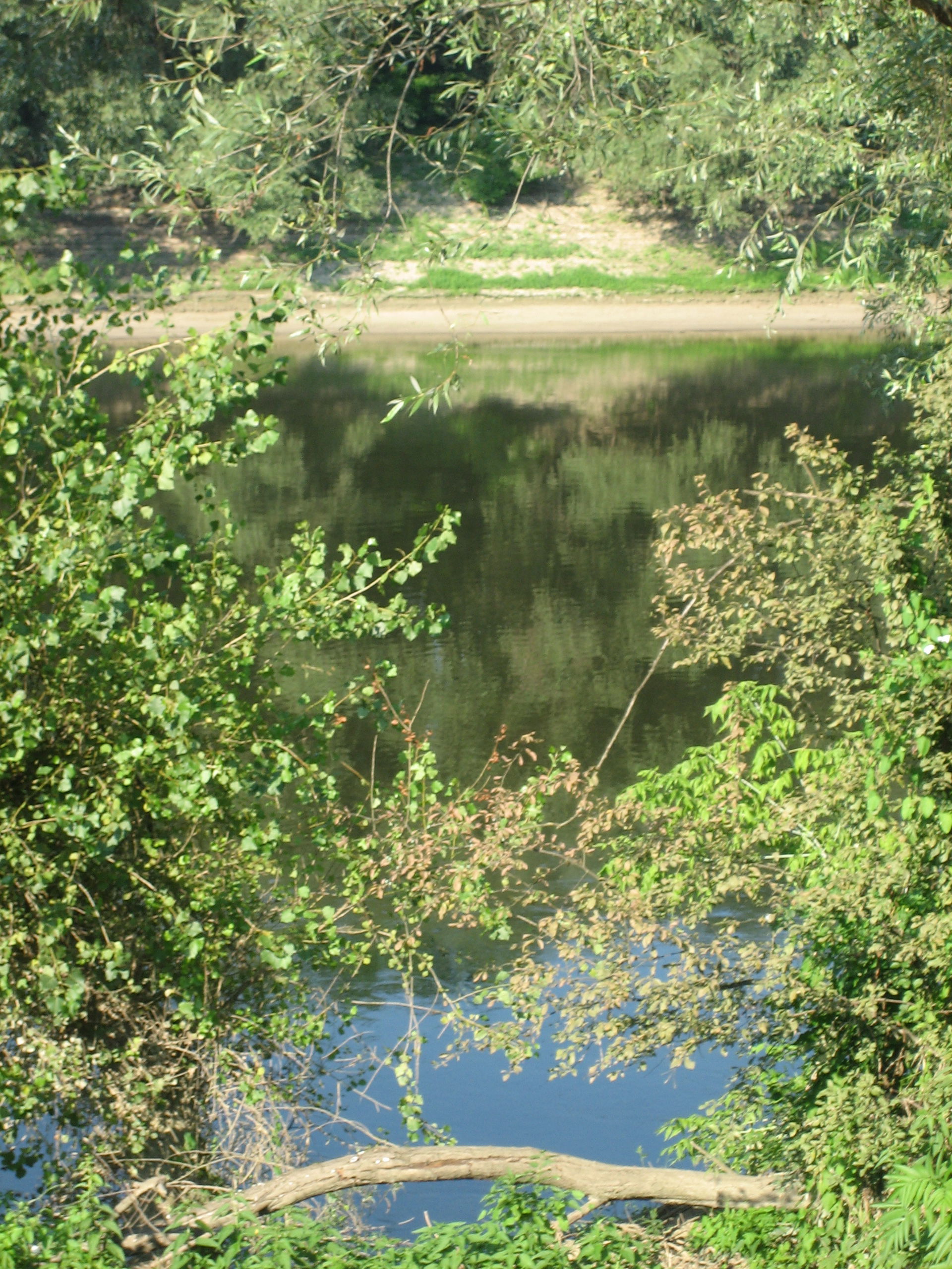 River Sava in Sisak, Croatia. / Rijeka Sava u Sisku.