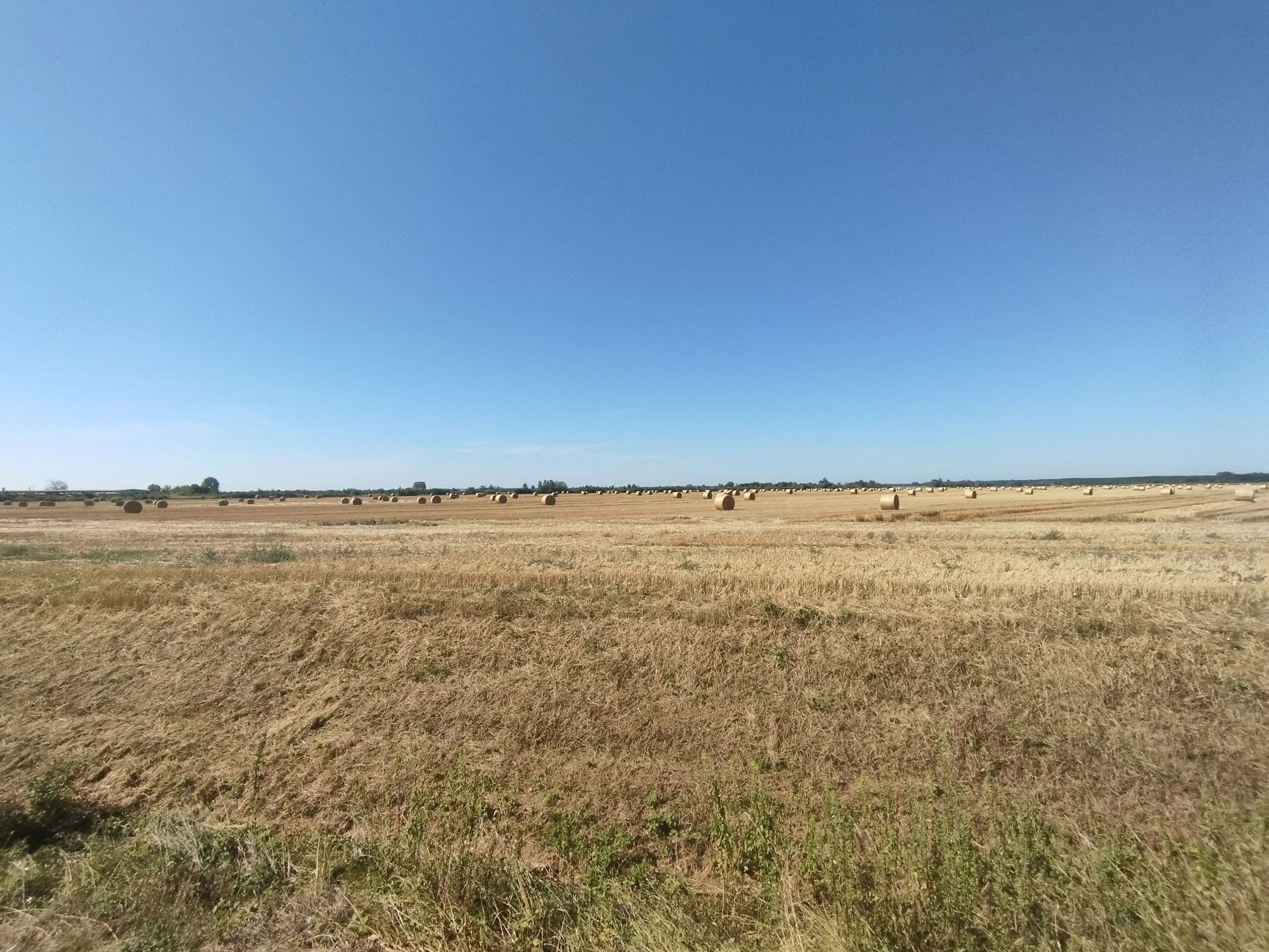 Field between Otok and Privlaka.