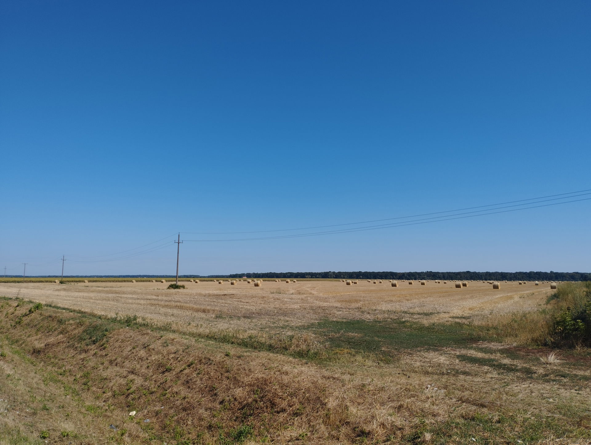 Field between Otok and Privlaka.