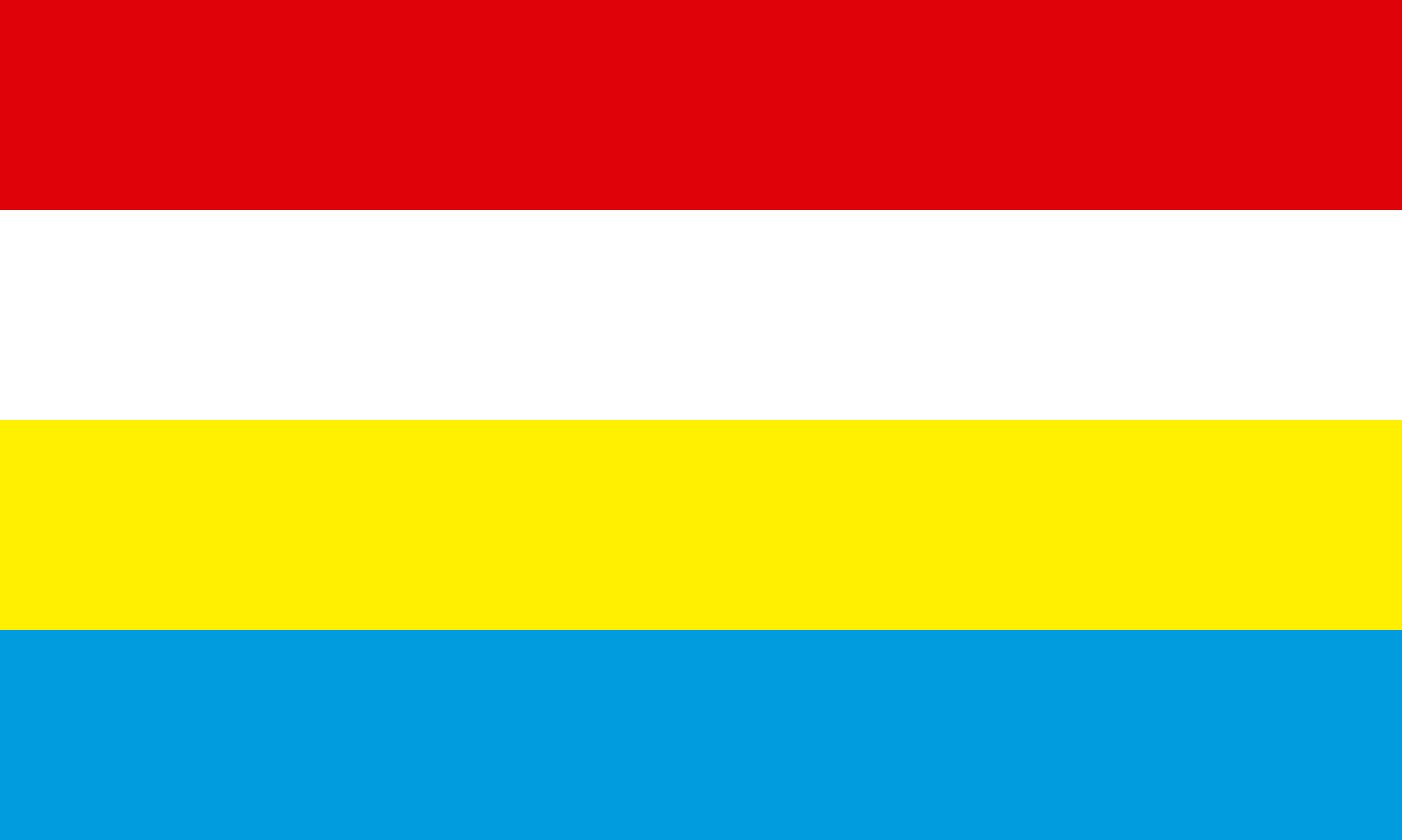 Bandera Provincia Putina
