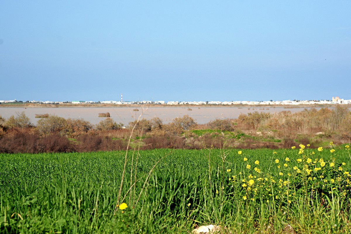 Paralimni See im Frühjahr