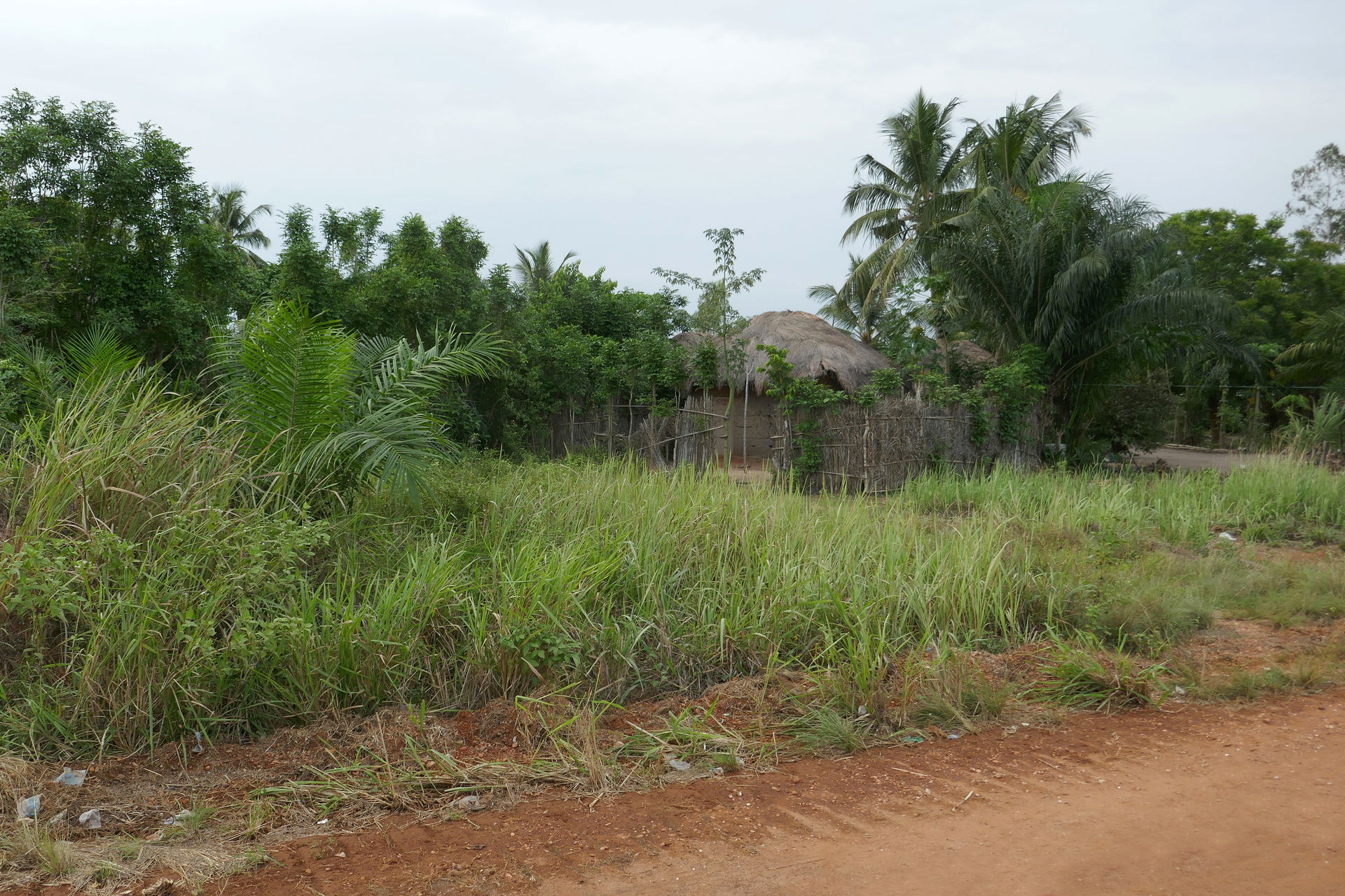 Paysage à Comè (Mono, Bénin).