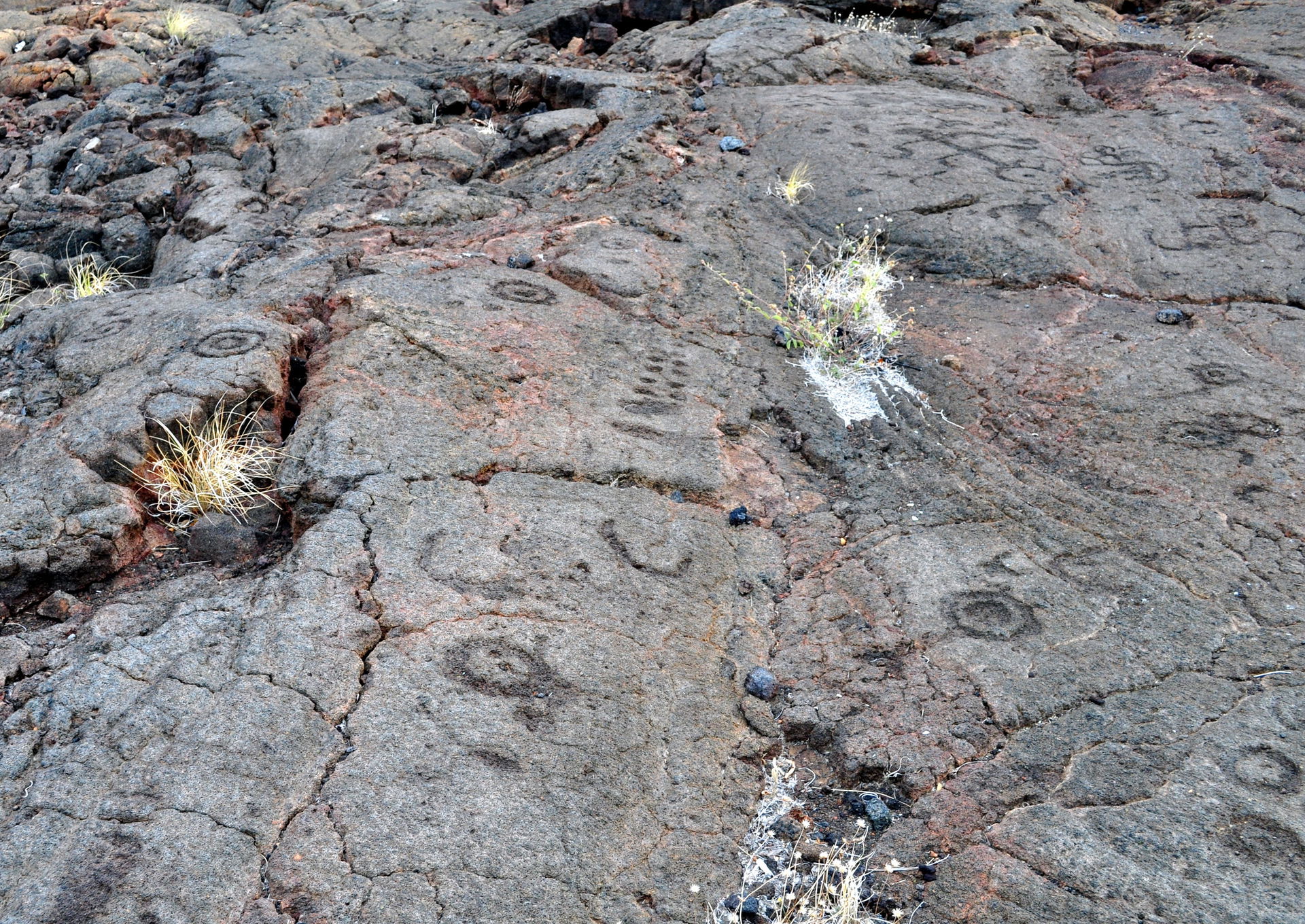 Volcanic Rock with Petroglyphs