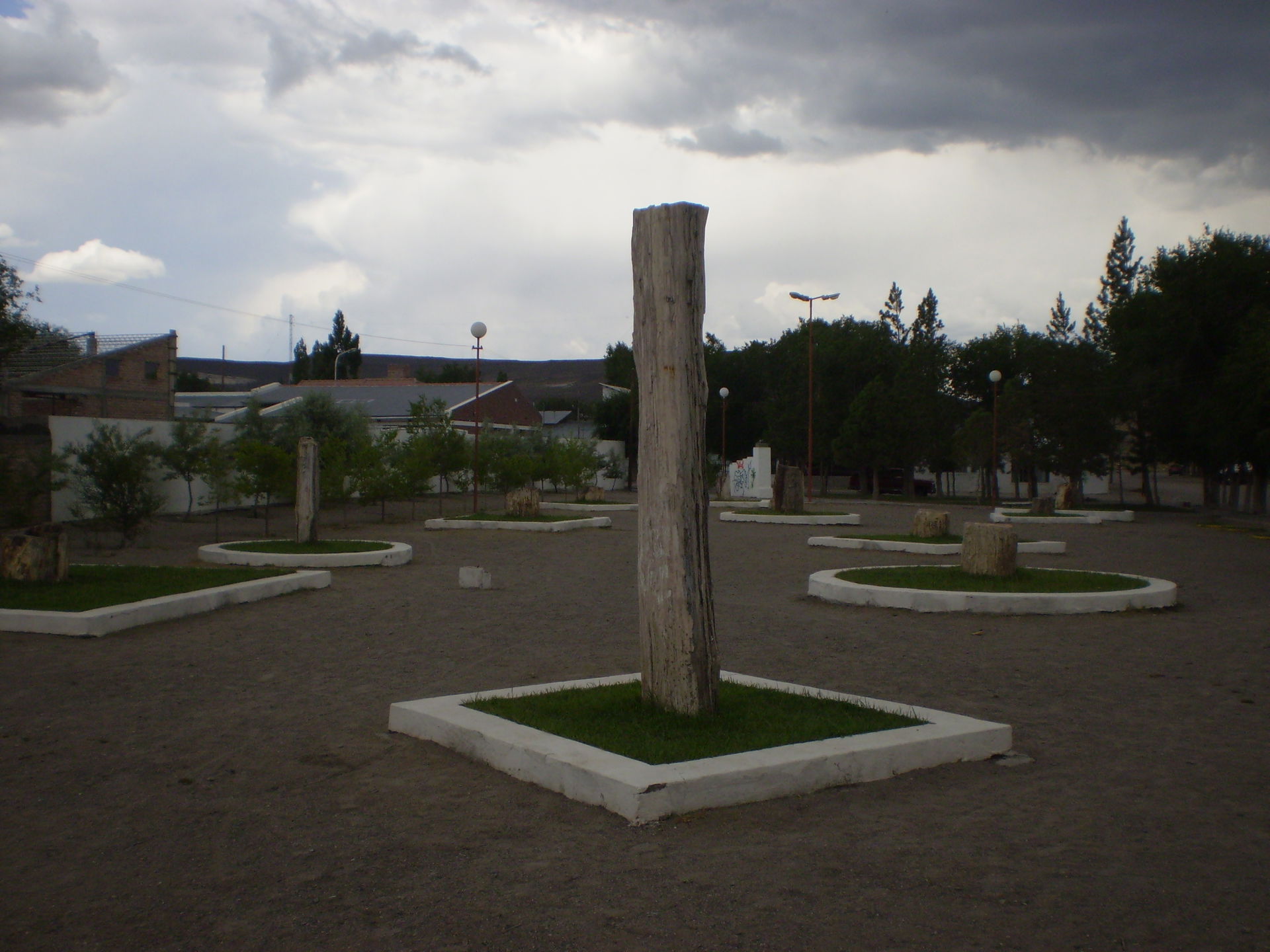 Plaza de árboles fósiles (madera petrificada) de Ingeniero Jaco…