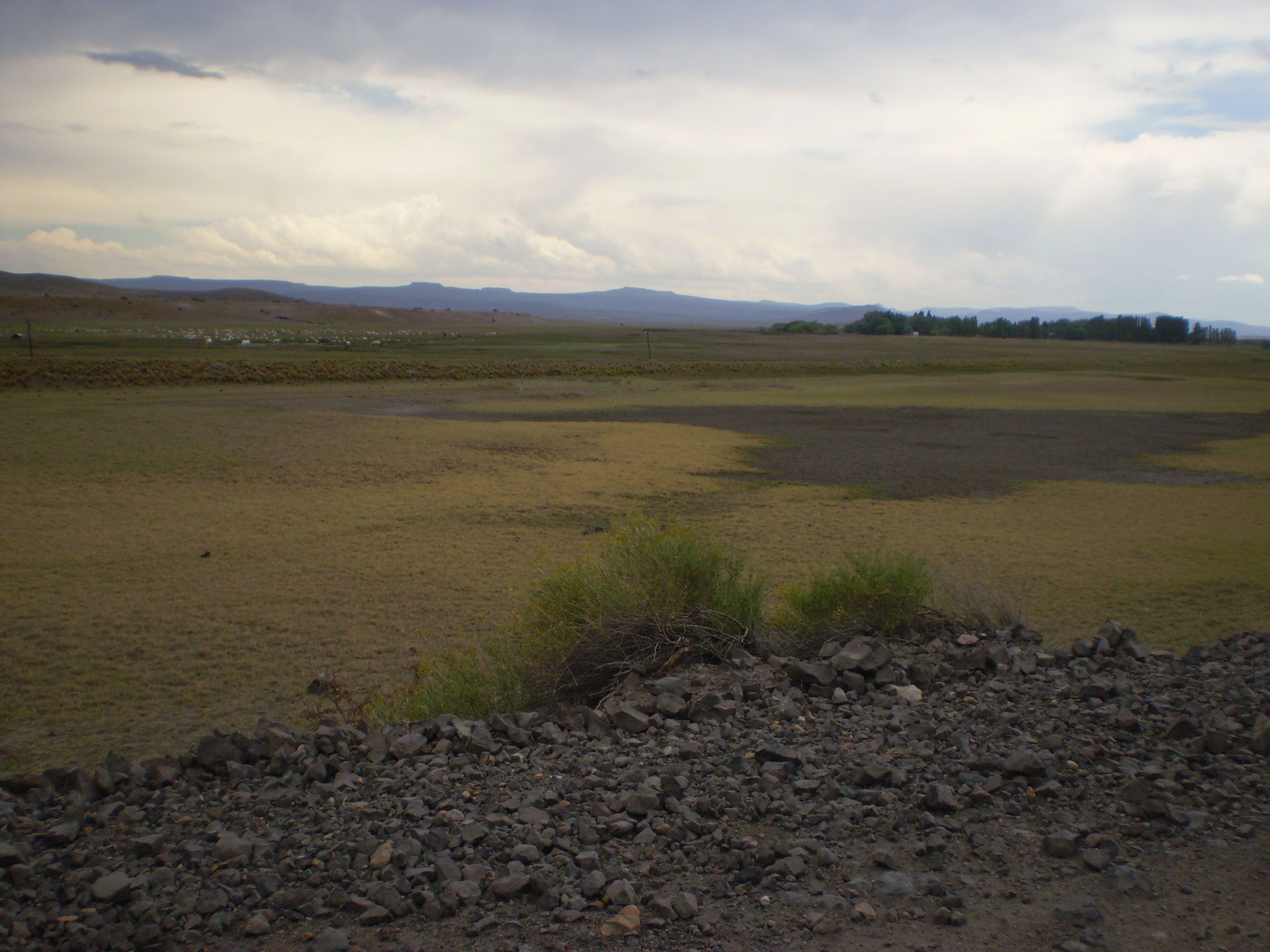 Mallín en proximidades de Ingeniero Jacobacci, Río Negro, Argen…