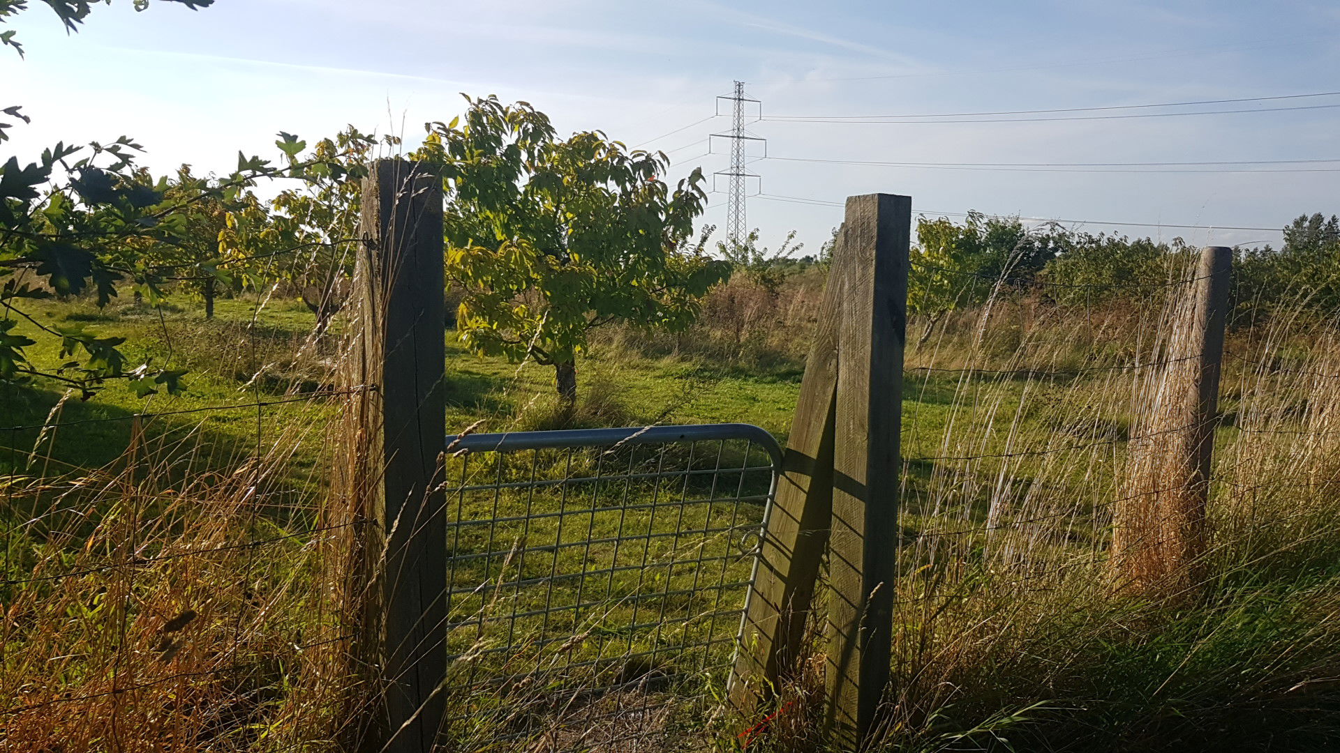 Ringsted Kaserne Hundepark