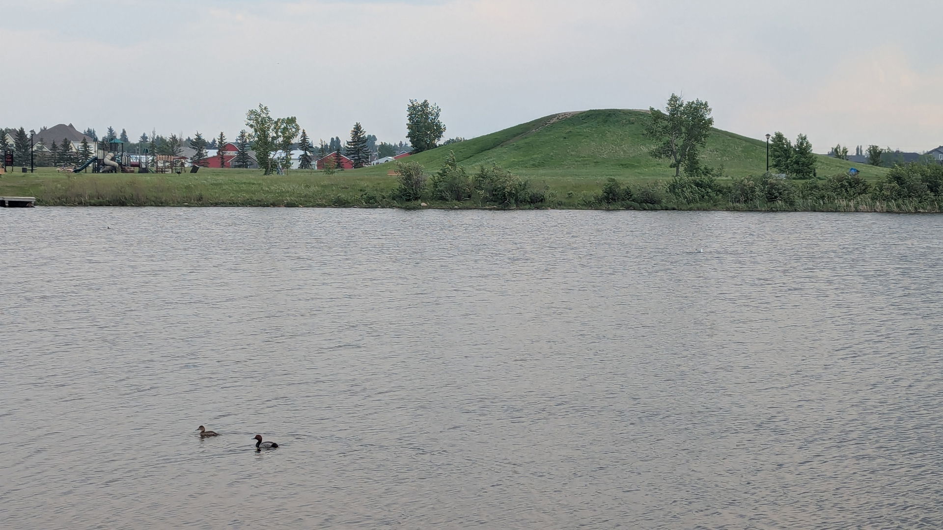 Shuckburgh Slough, Stettler, Alberta, Canada