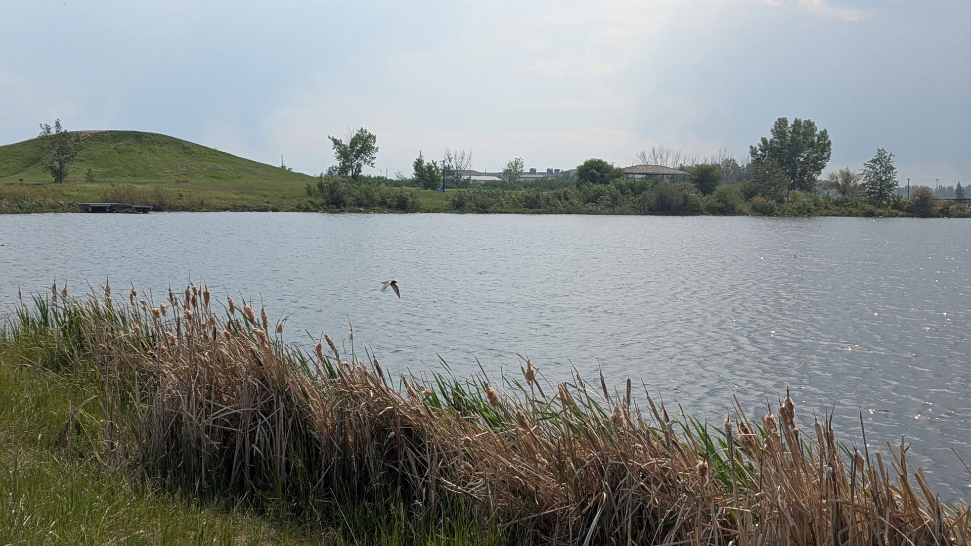 Shuckburgh Slough, Stettler, Alberta, Canada