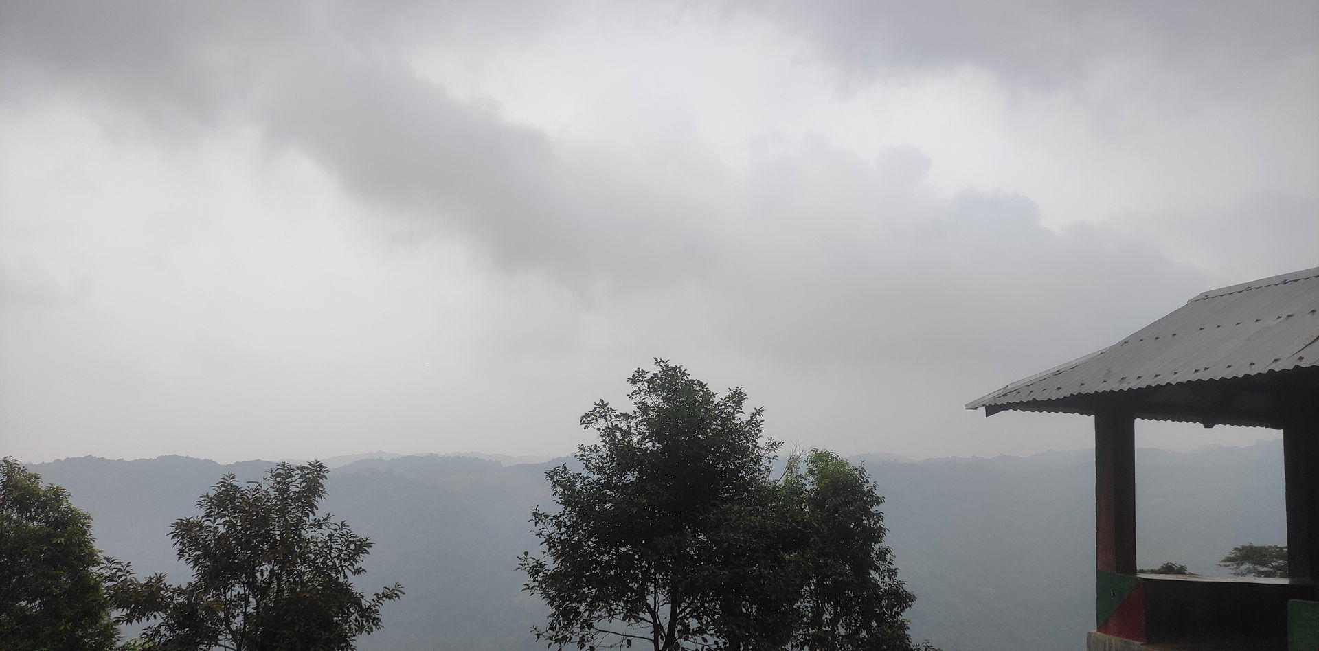 Nokrek National Park, Tura, Meghalaya Peak