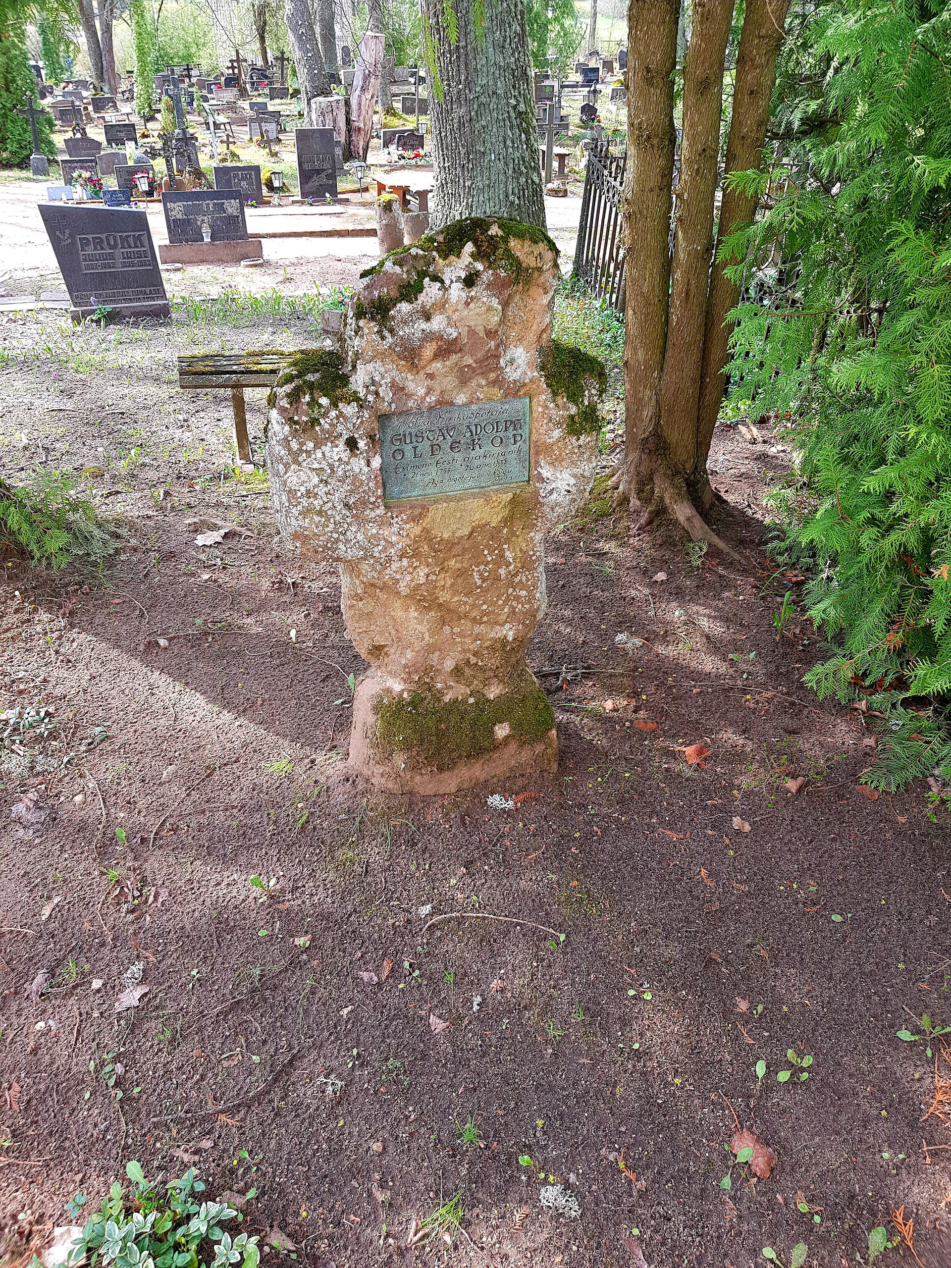 Grave of Gustav Adolph Oldekop in Põlva