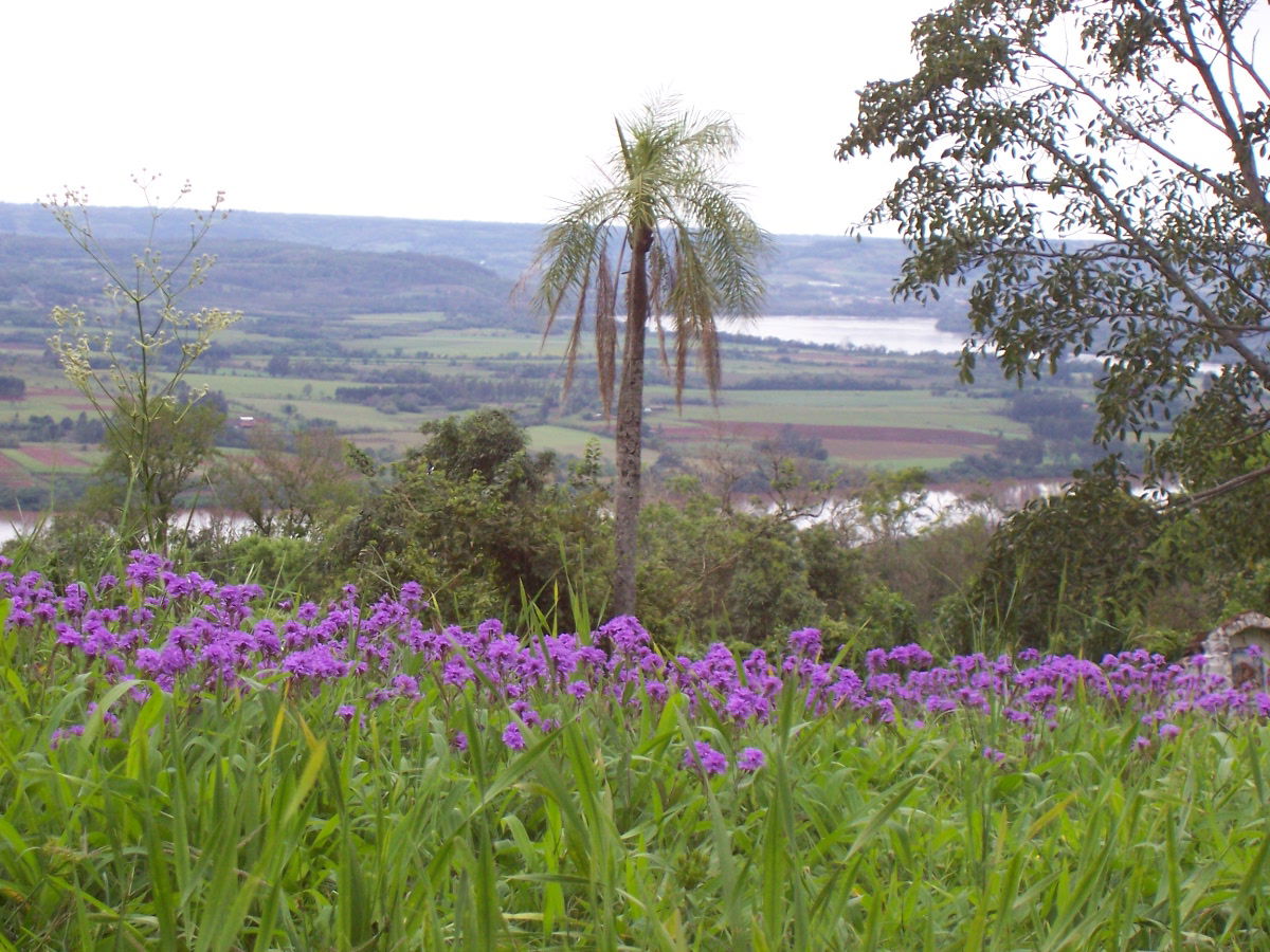 Photo of the Uruguay River, in the Monk Hill, San Javier, Misio…