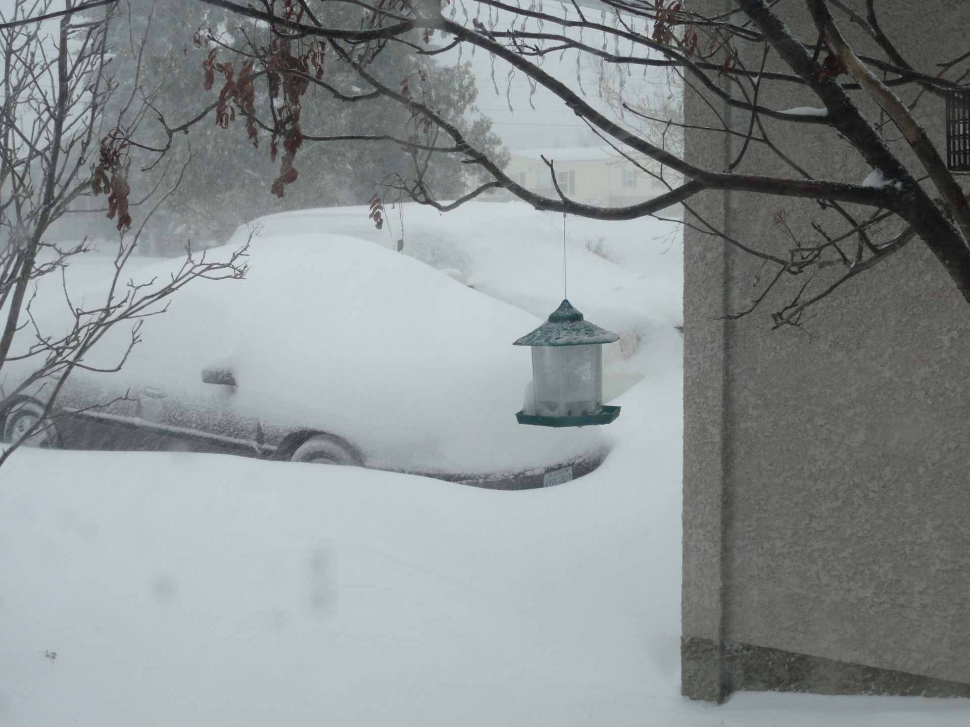 Late season snowstorm that dropped 40cm of snow over the course…