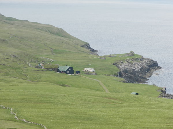 Koltur