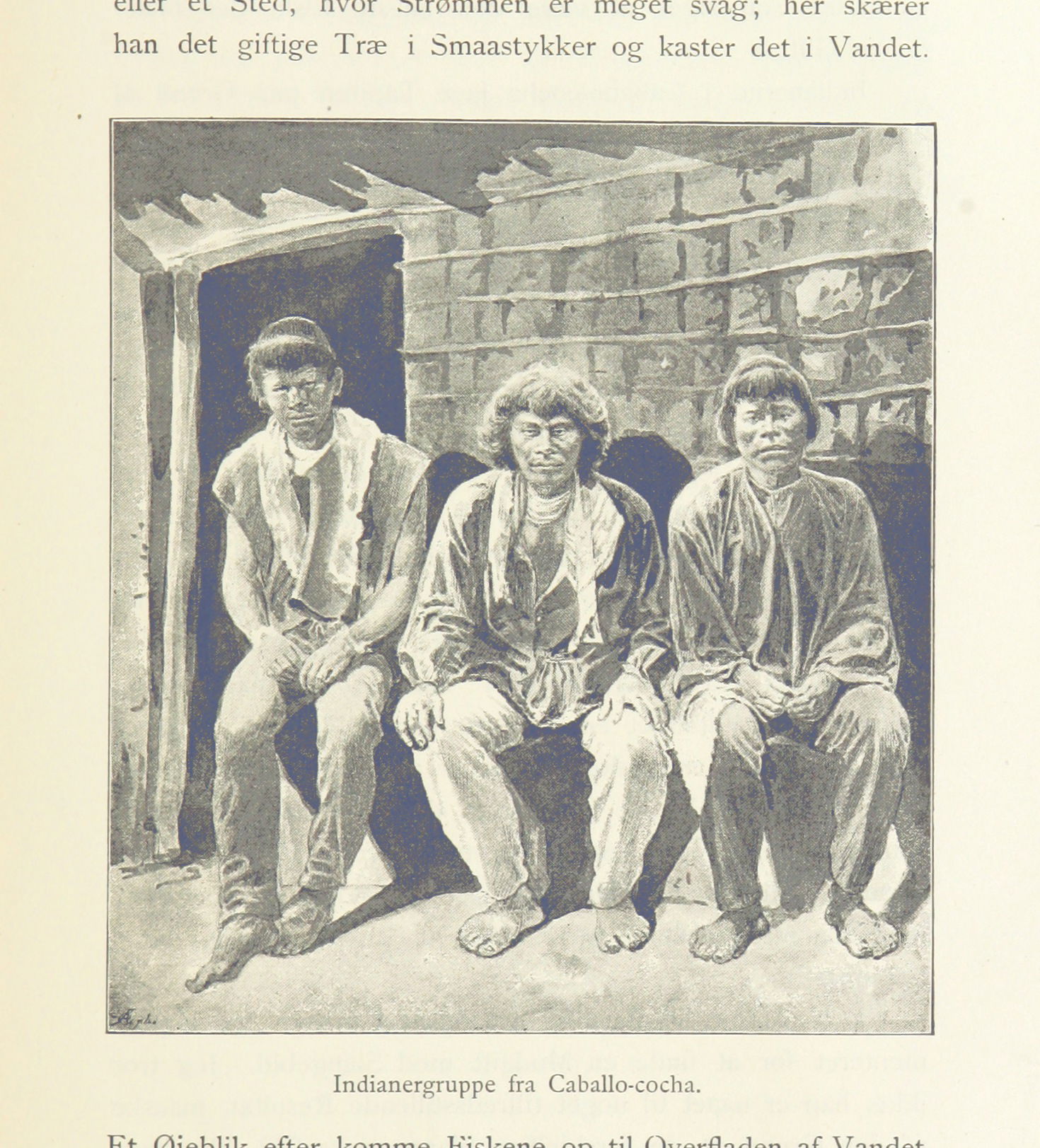 Image taken from:
Title: "Amazonfloden. Erindringer og Skildrin…