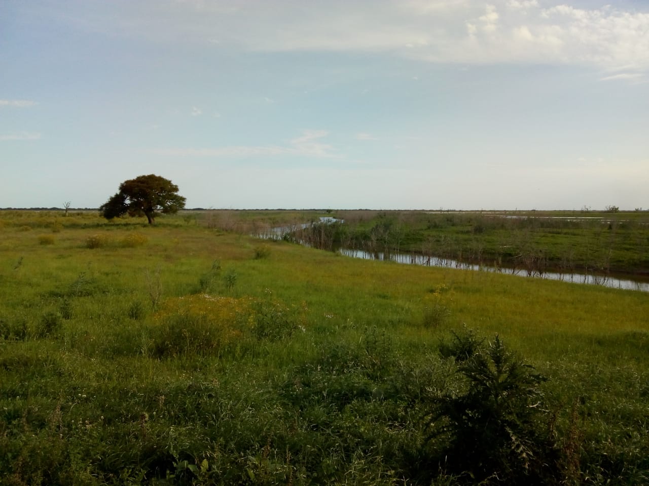 Paisaje en donde se aprecia la llanura que caracteriza a esta p…