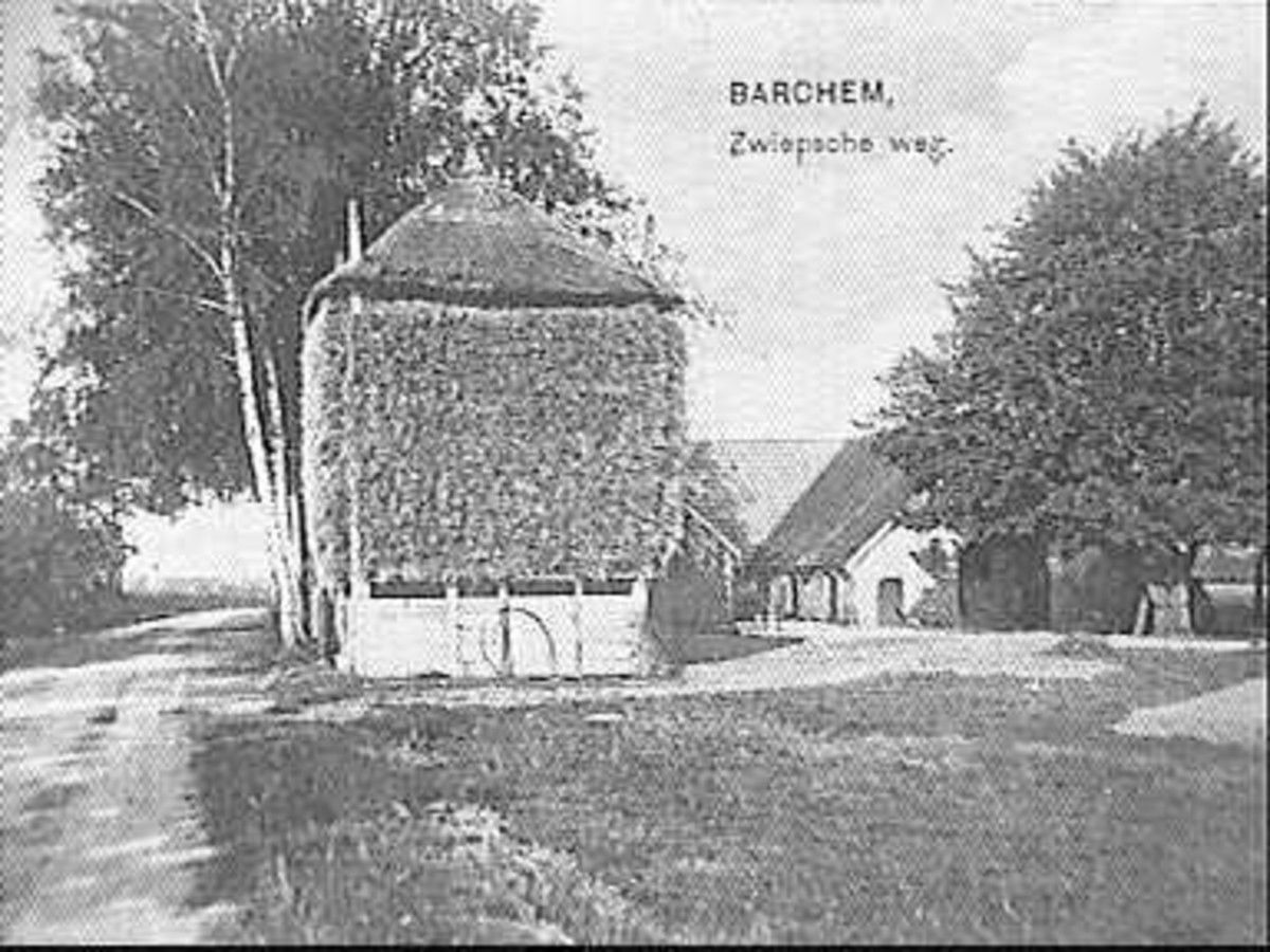 Graafschap Zutphen/ Hooiberg: hooiberg PBK, Uitgeverij Nauta, V…