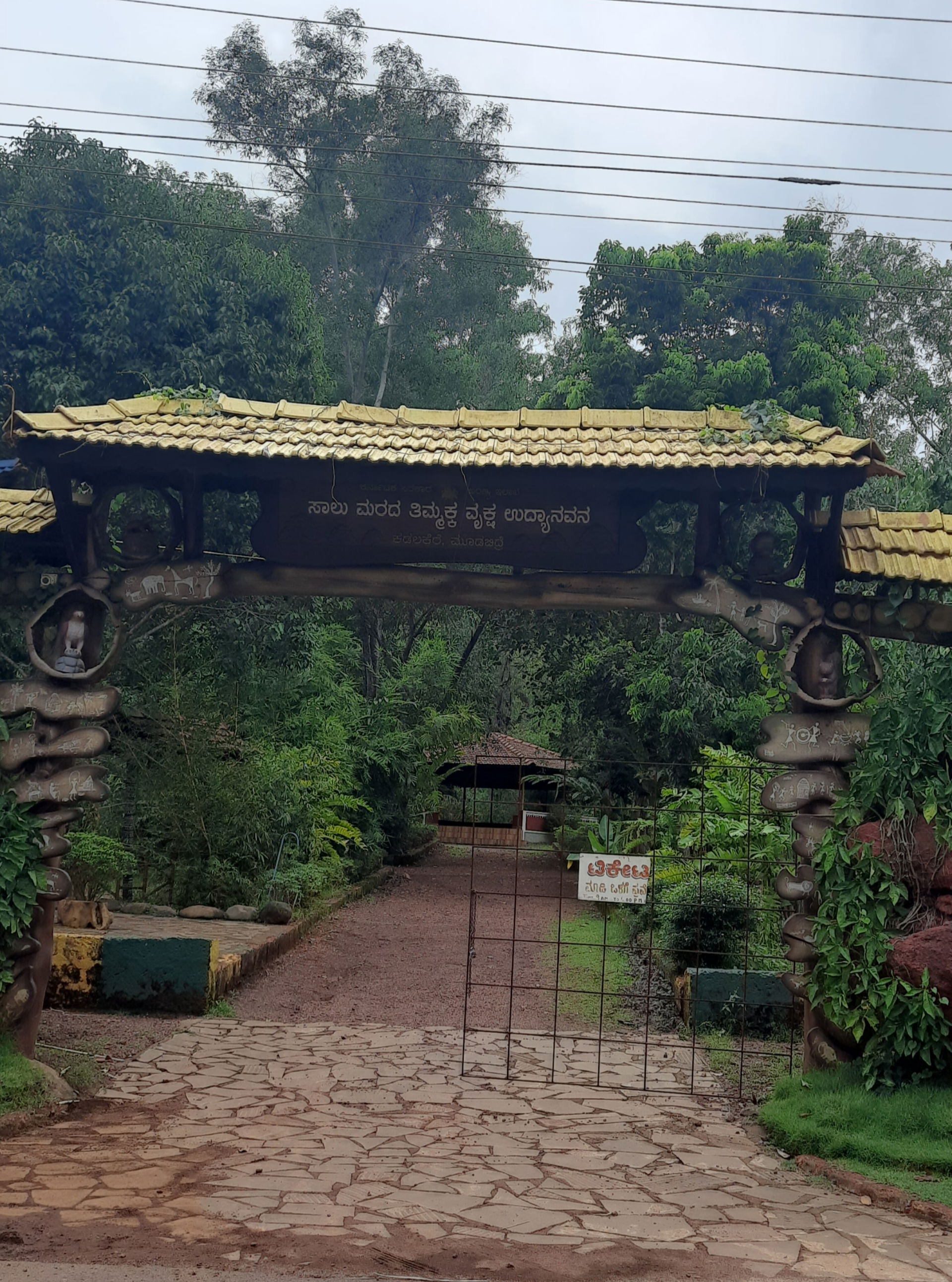 Salu marada thimmakka tree park, kadalakere, Mudubidre,Karnataka