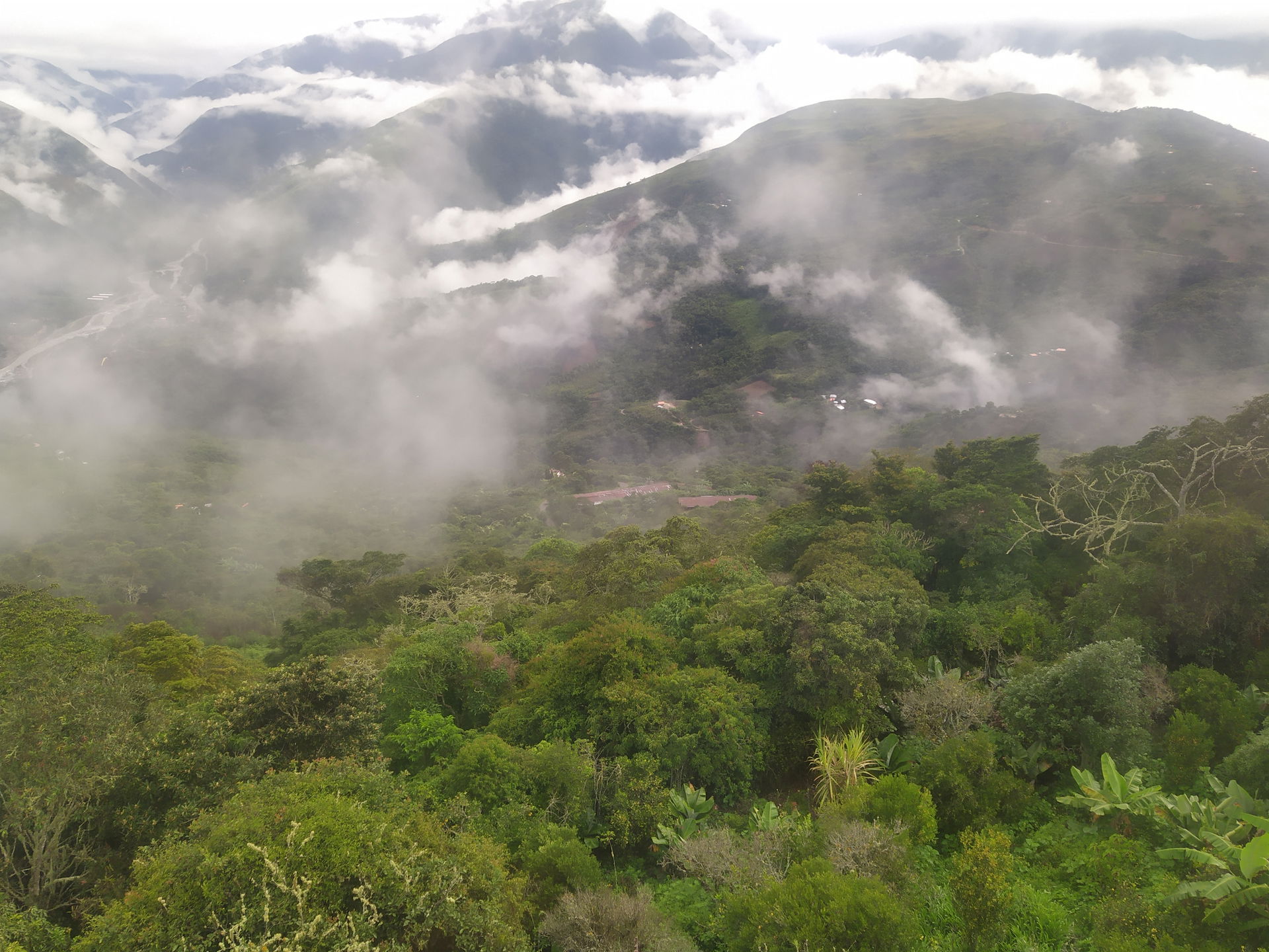 Vista de Coroico desde el Hotel Buena Vista