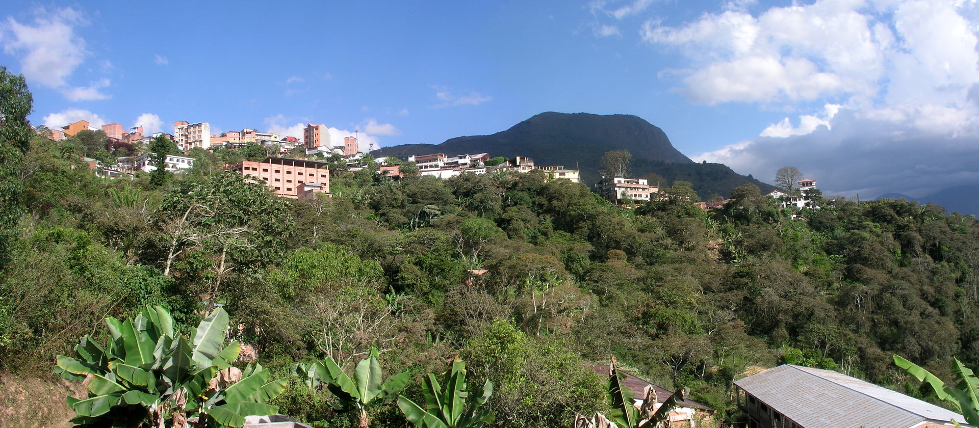 Ville de Coroico, Yungas, Bolivie.