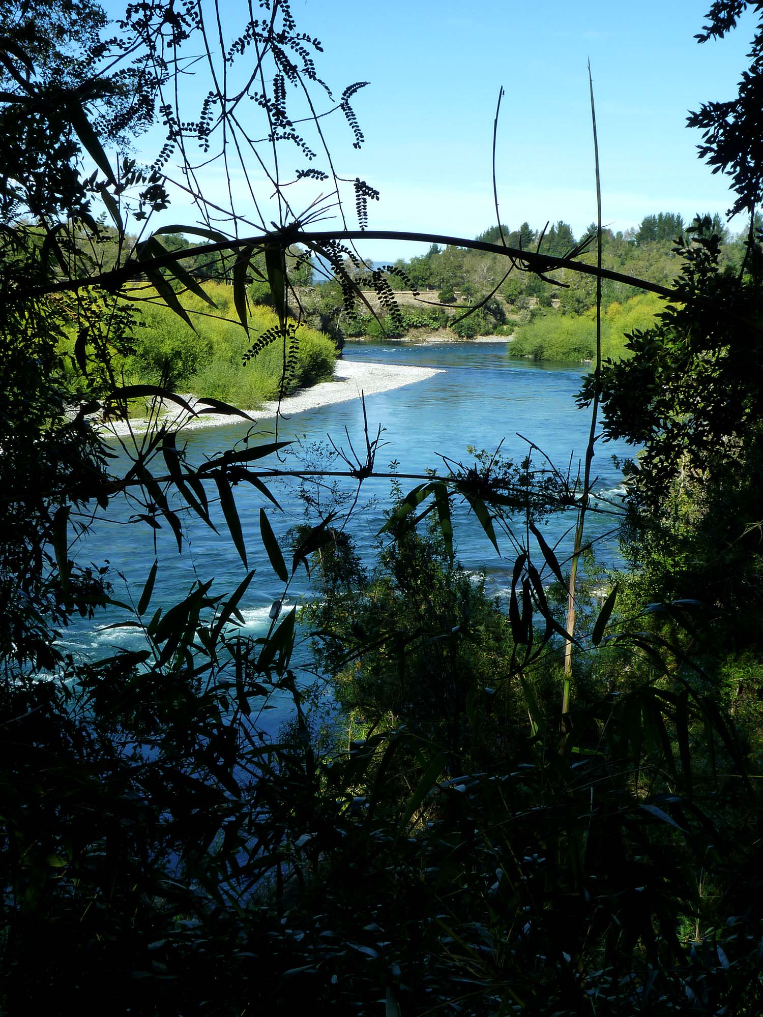 Río Toltén cerca de Villarrica, Araucanía, 9. región