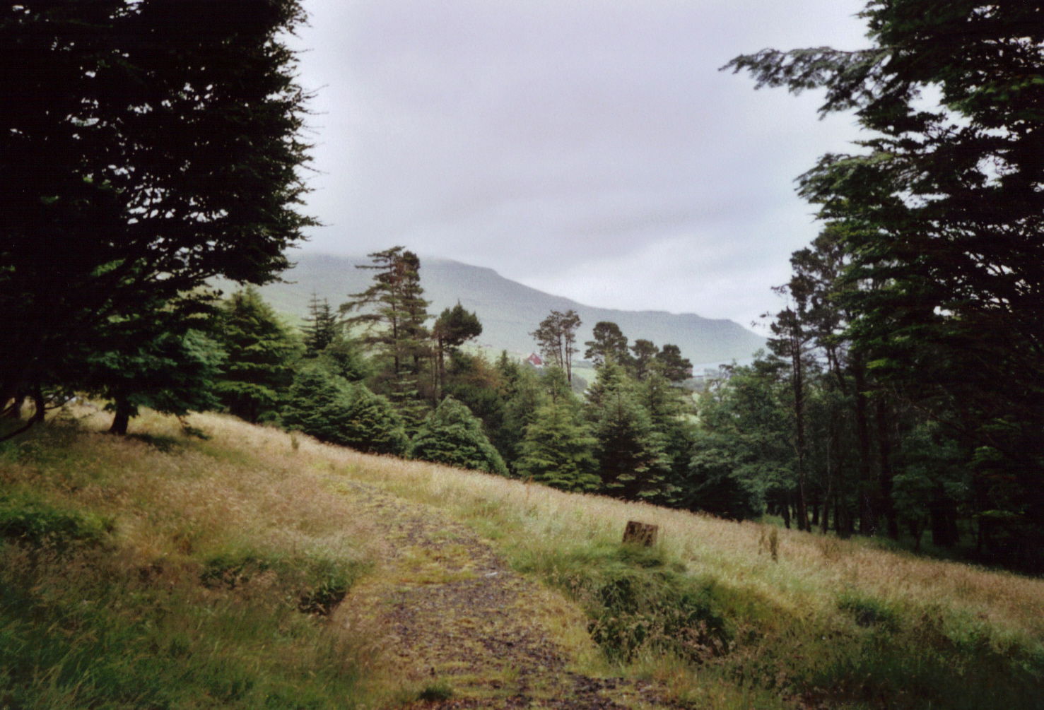 Im Wald von Selatrað gibt es mehrere Wanderwege.