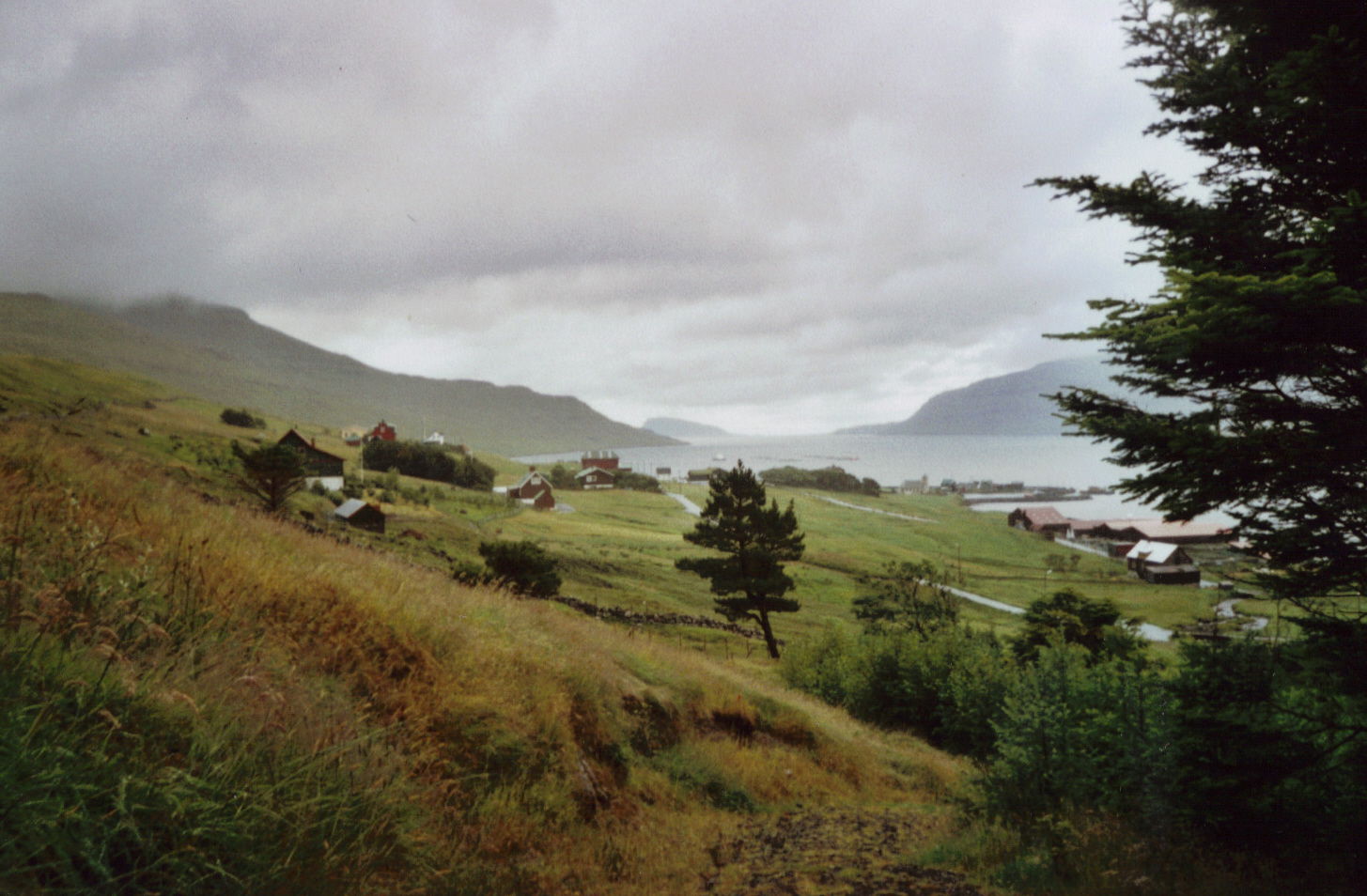 Blick vom Wald zum Dorf Selatrað.