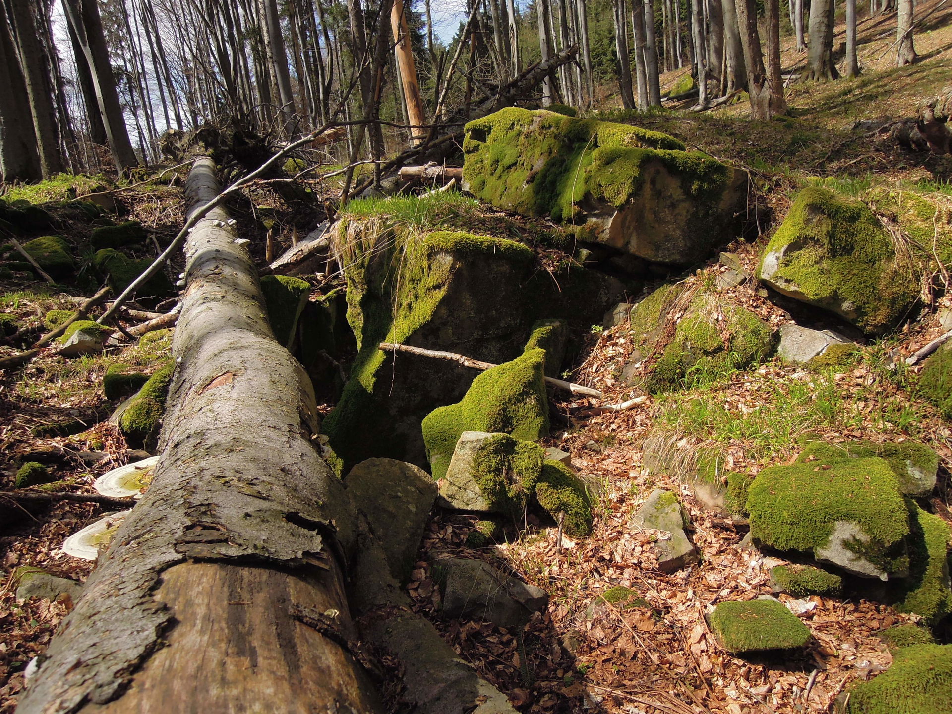 Skálí natural monument in Karolinka, Vsetín District, Zlín Regi…
