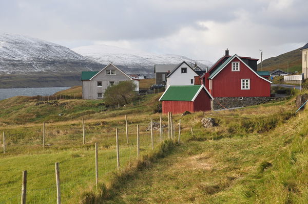Svínáir