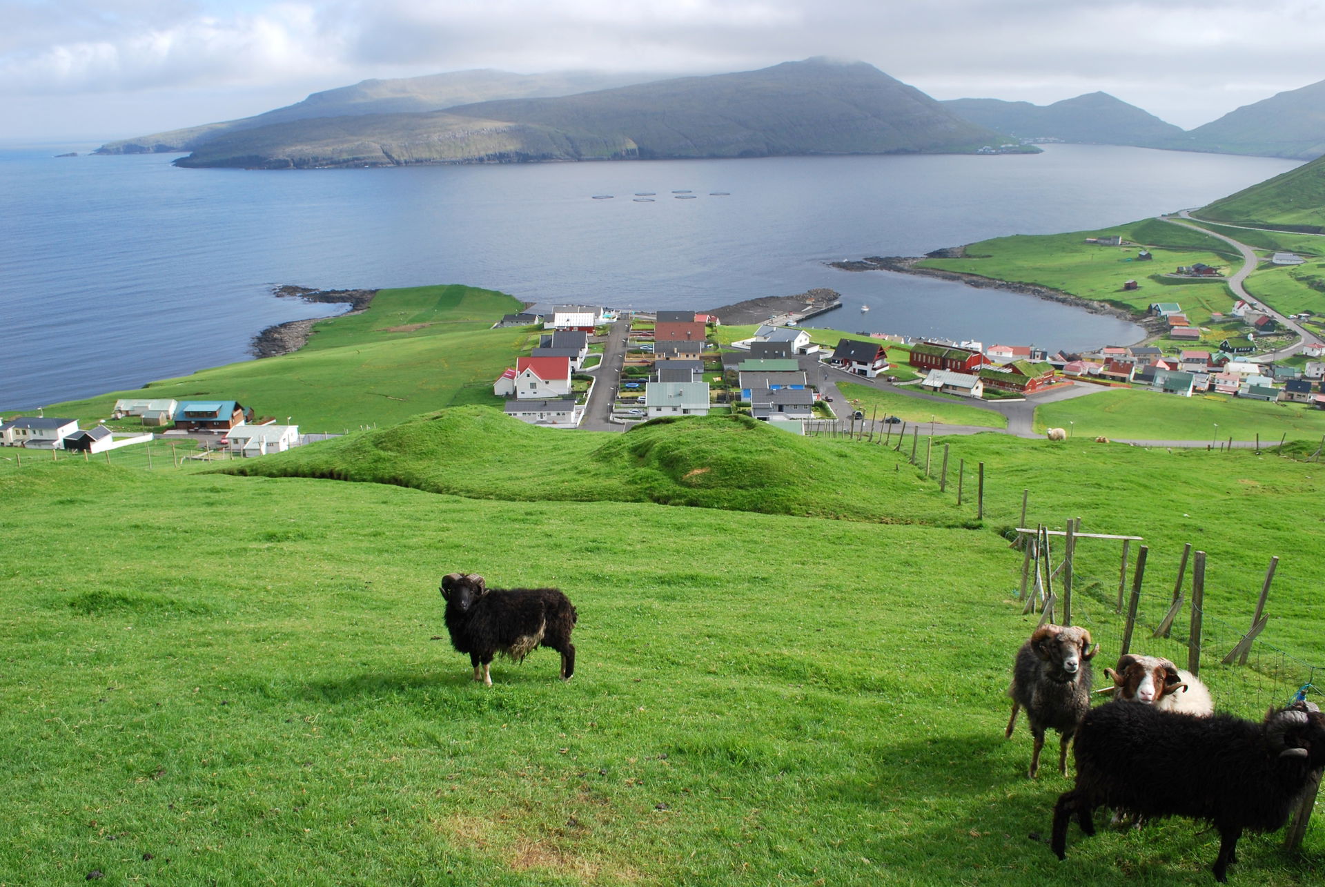 Porkeri,Faroe Islands. View towards south. The islet Baglhólmur…