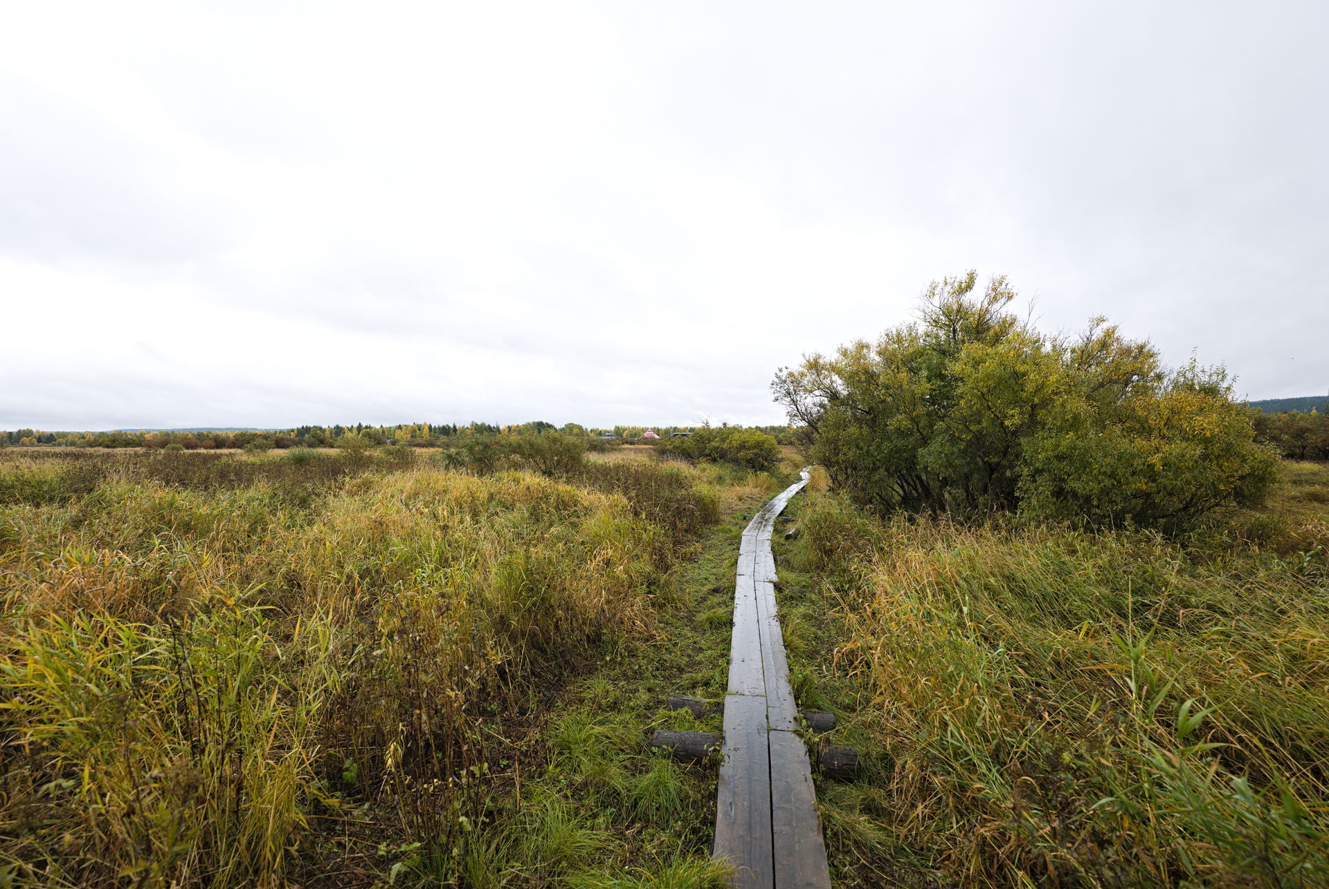 Hiking trail on the Koivusaari island in Rovaniemi.