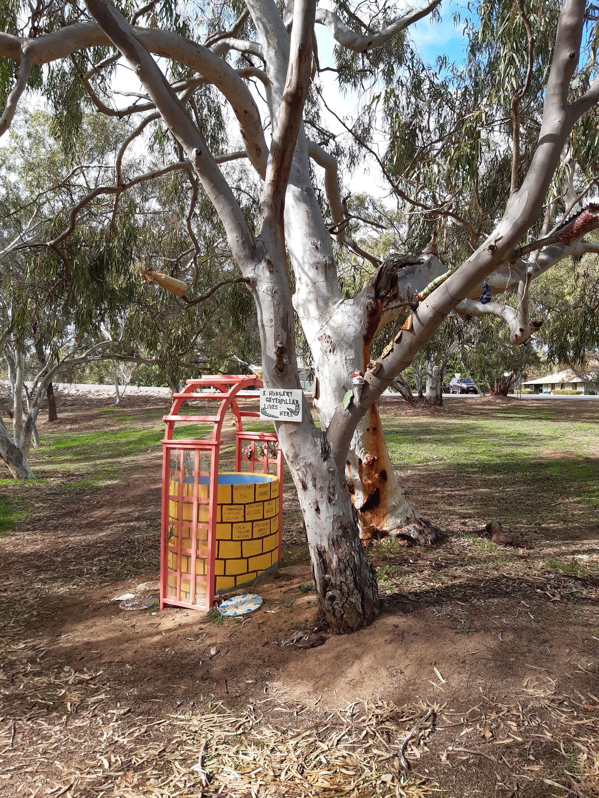 A seemingly unnamed park in Port Denison, Western Australia, ri…