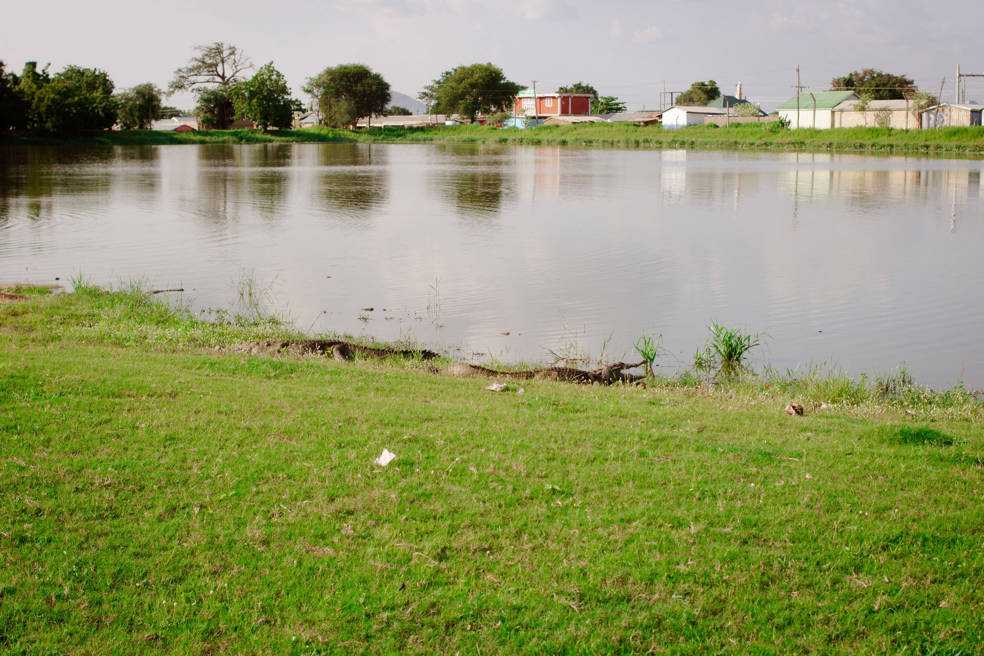 Paga crocodile pond with crocodiles resting at the shore