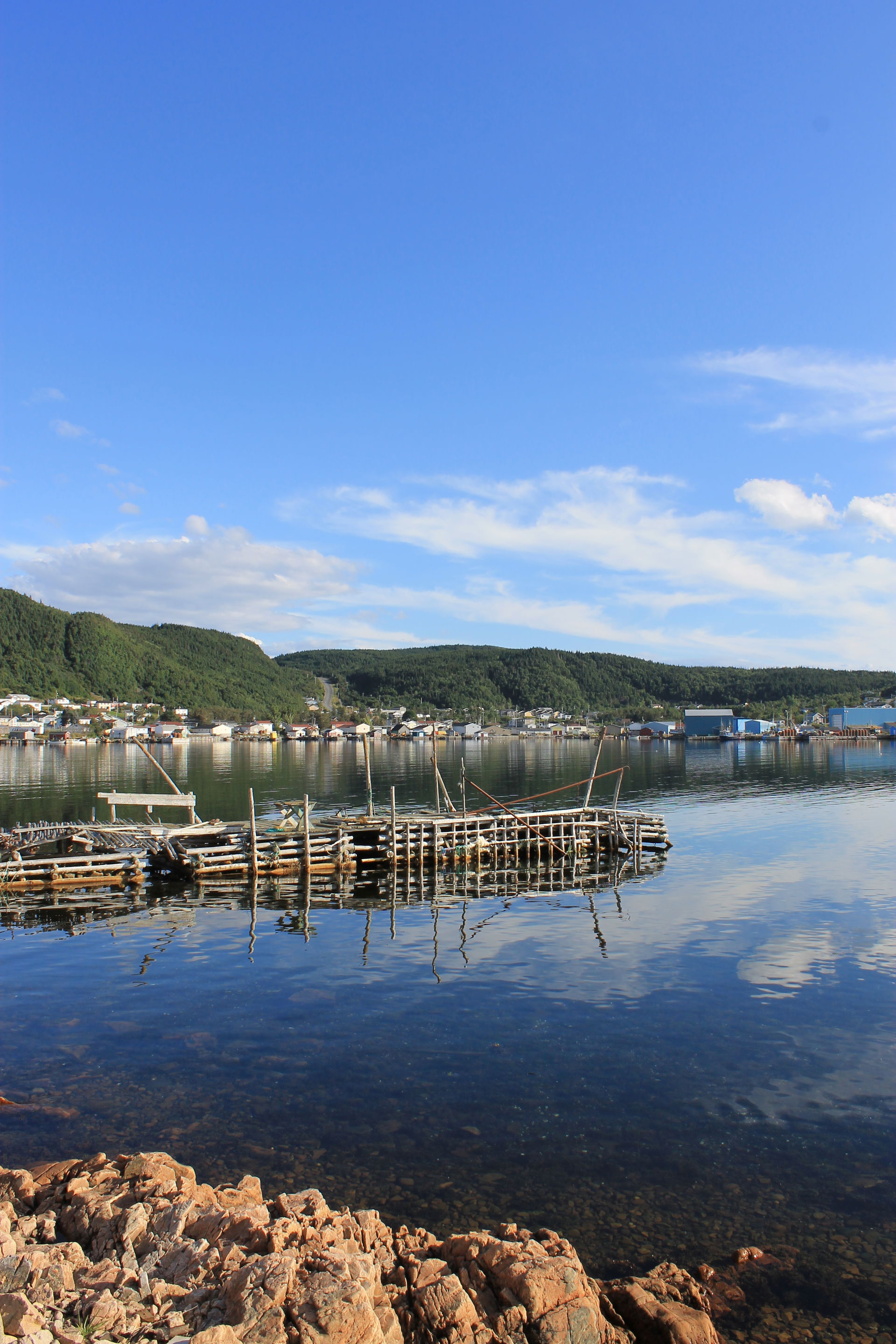 The view from across the harbour in La Scie, Newfoundland and L…