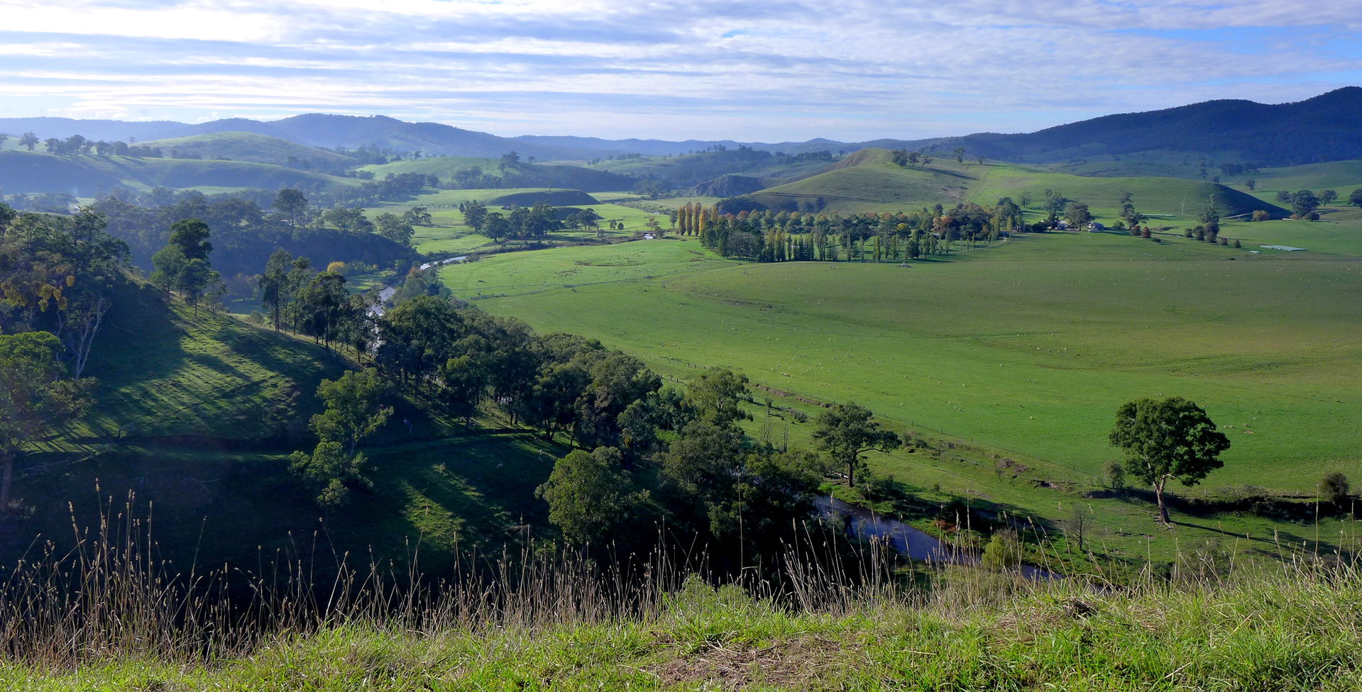 Scenery from the Buchan-Orbost-Rd, not far from Buchan.