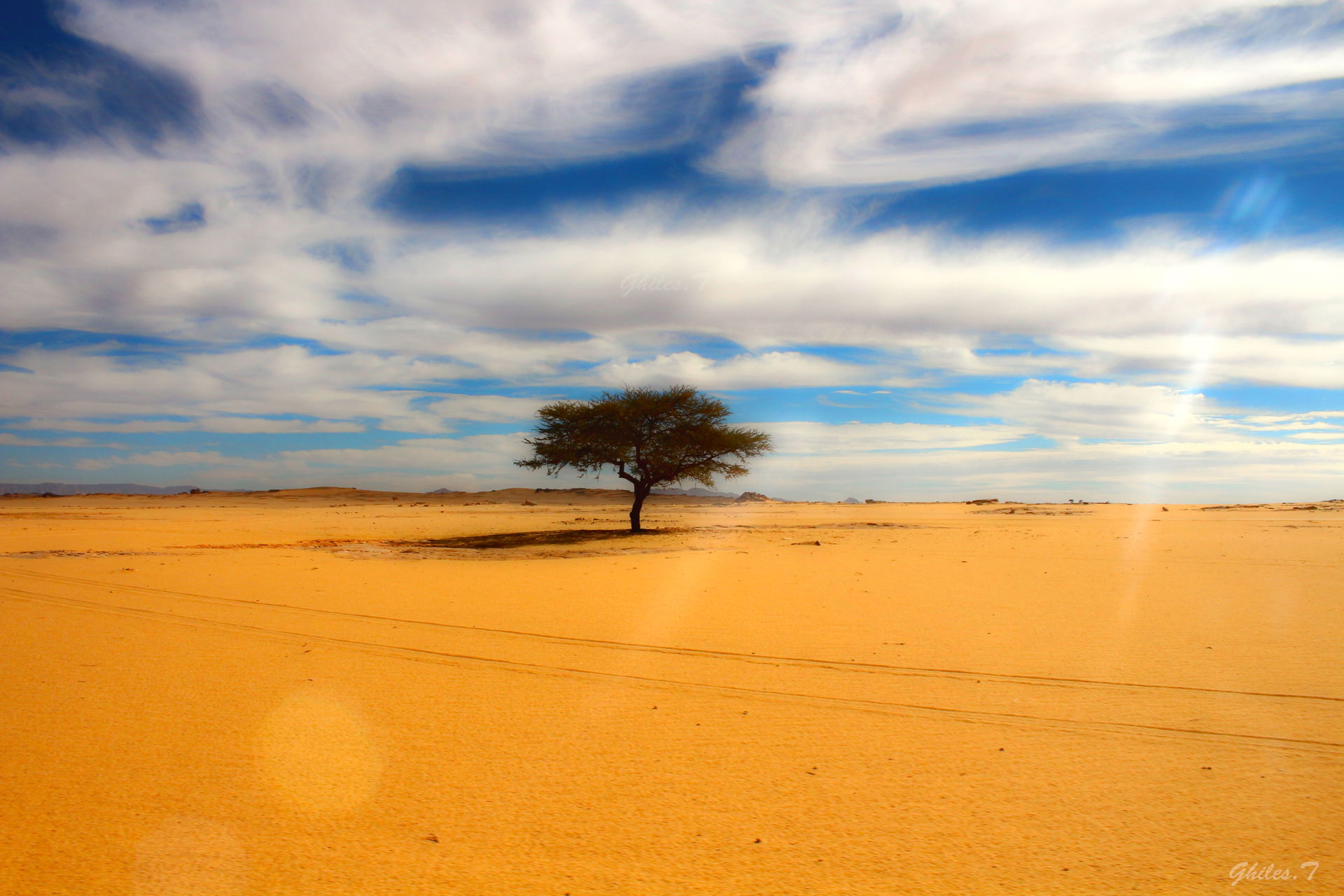 Paysage du desert Algerien