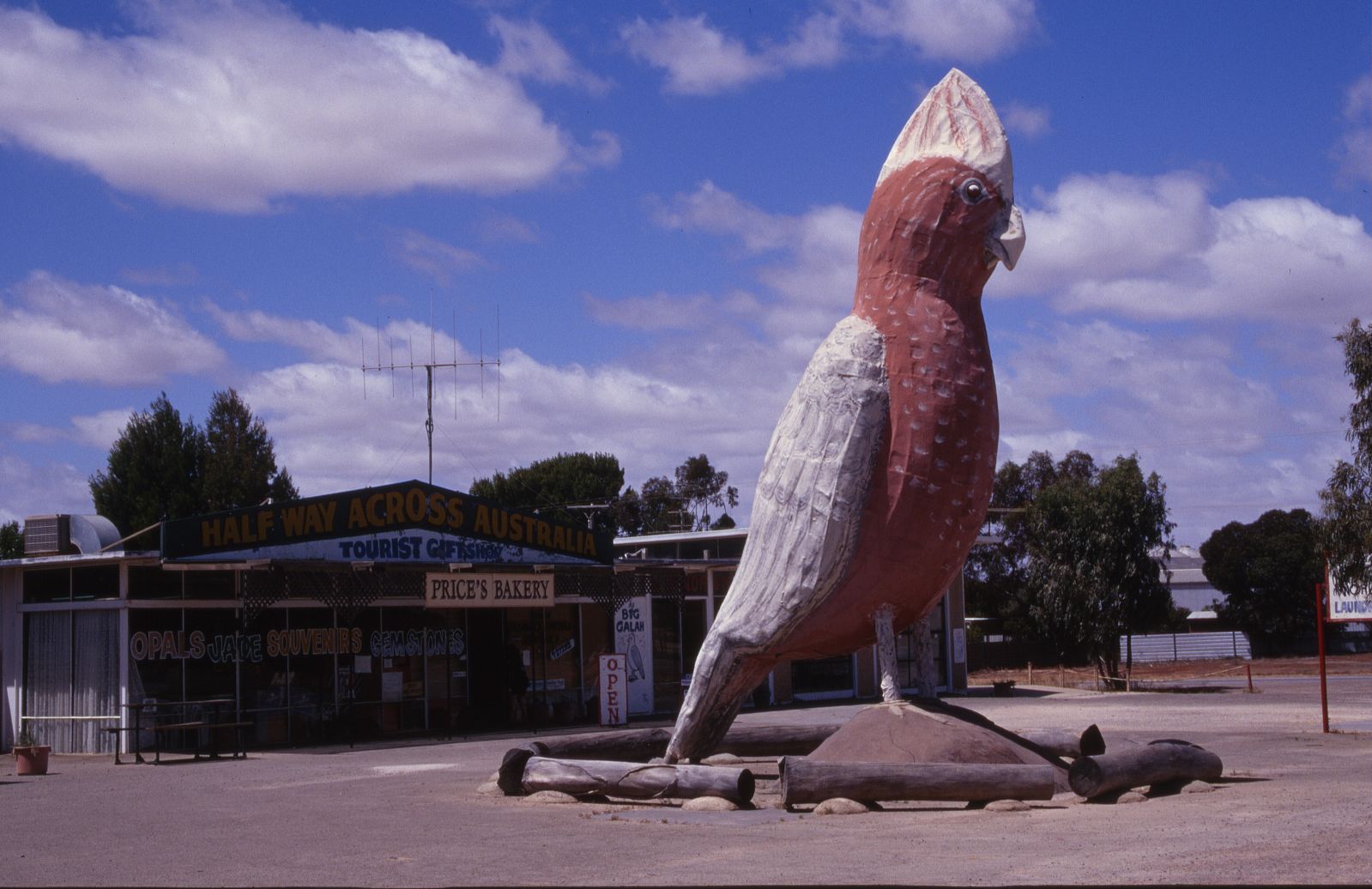 Big Galah, Kimba (SA)sth_aussie042