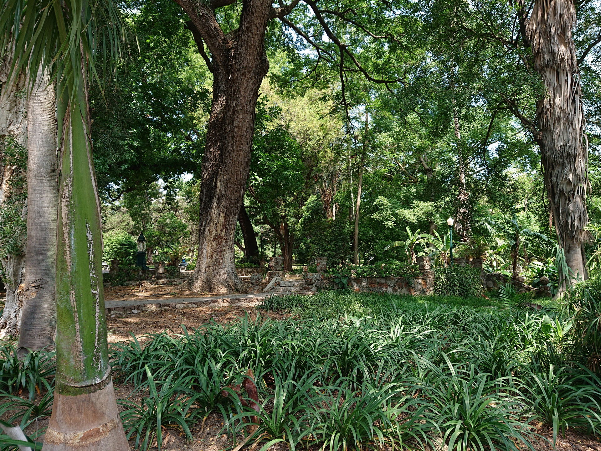 Inside Tunduru Gardens in Maputo. The Wallace fountain can be s…