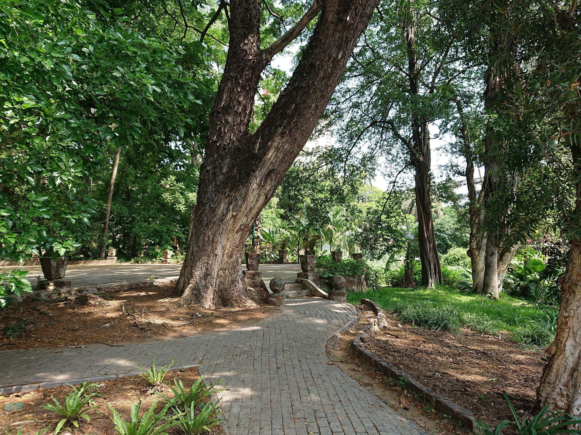 Inside Tunduru Gardens in Maputo