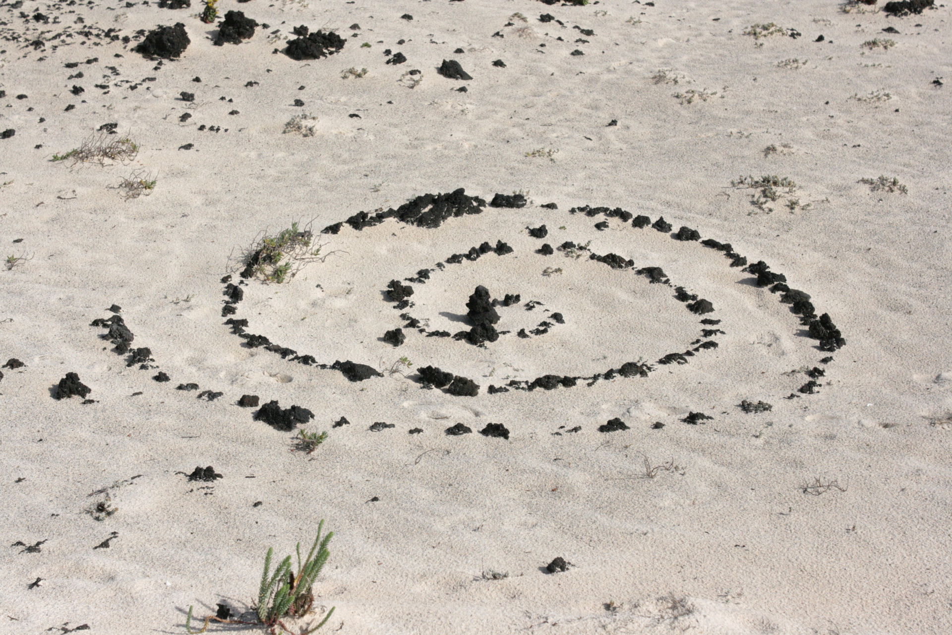 Punta Prieta at the Lugar Diseminado Maguez (LZ-1) in Haría