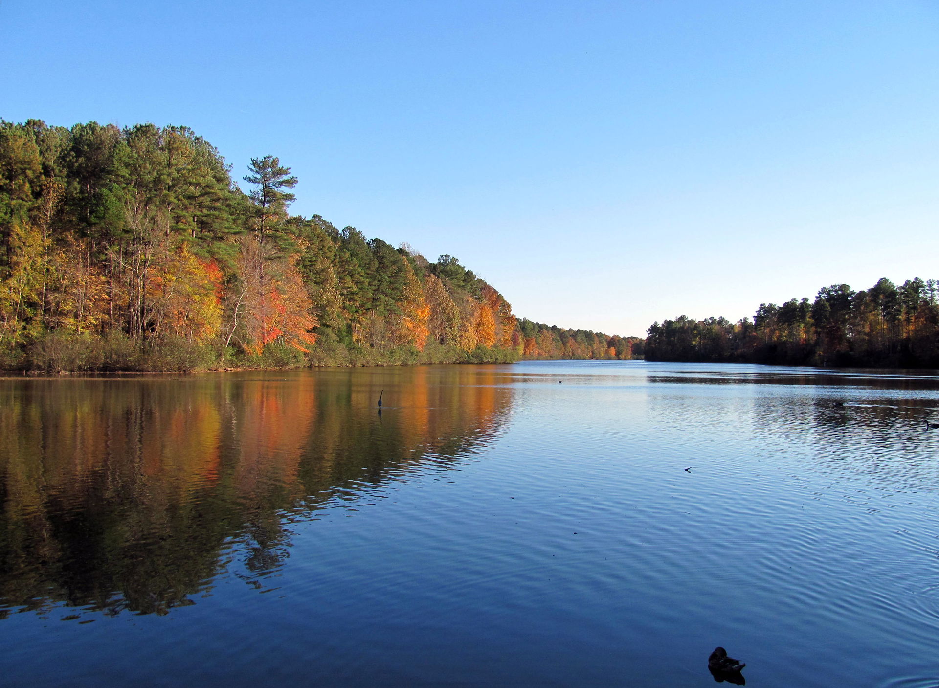 Lake Lynn in Raleigh, NC, USA