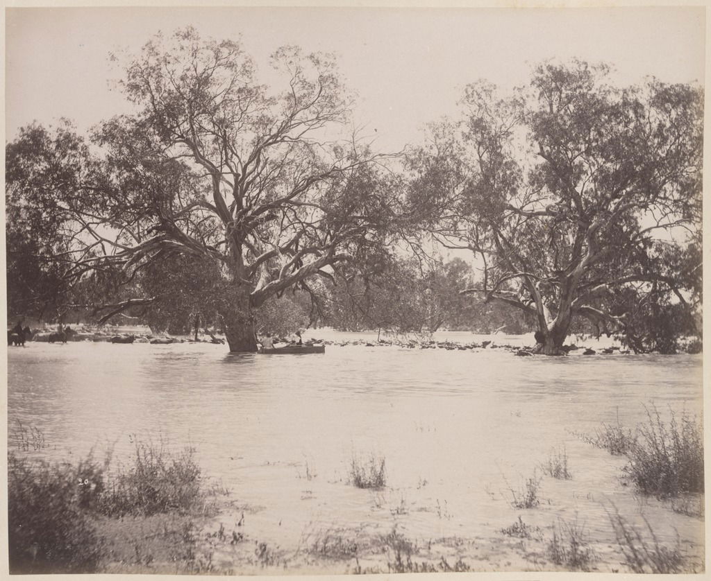 Bayliss, Charles, 1850-1897
Title devised by cataloguer based o…