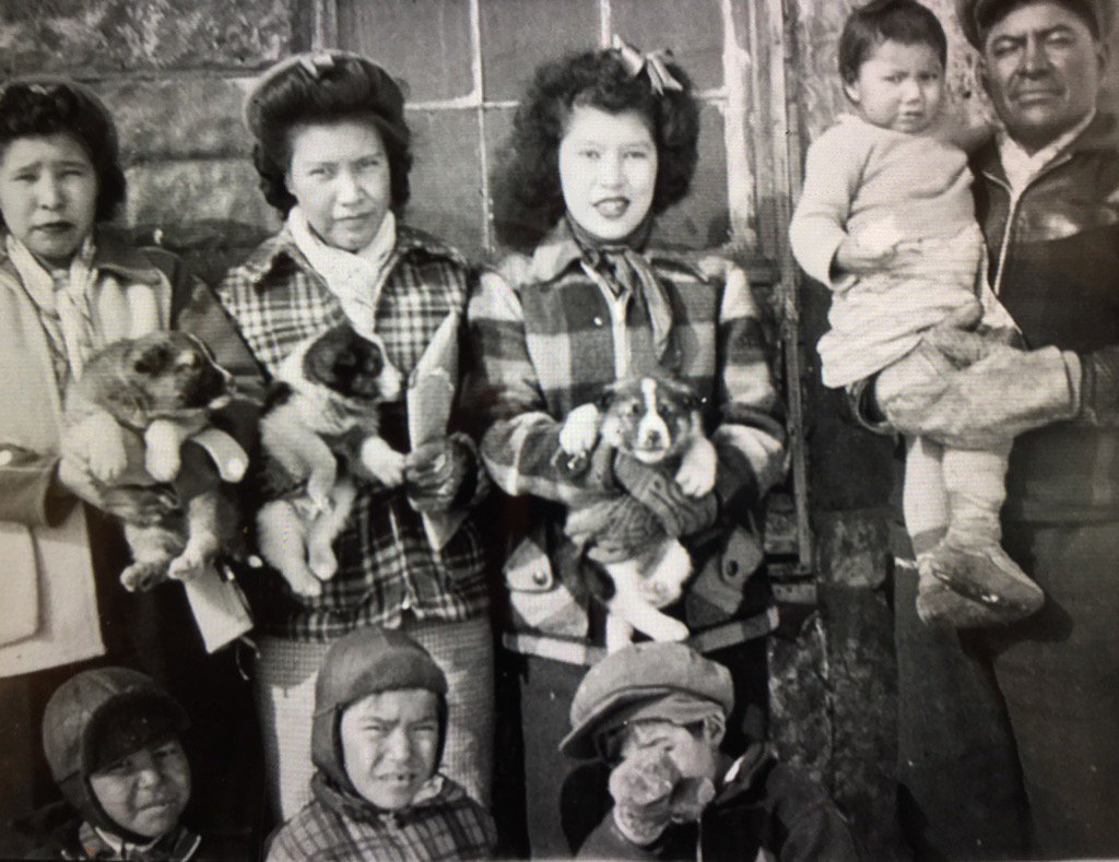'Family portrait with puppies' ~ (Cree) ~ Pukatawagan, Manitoba…