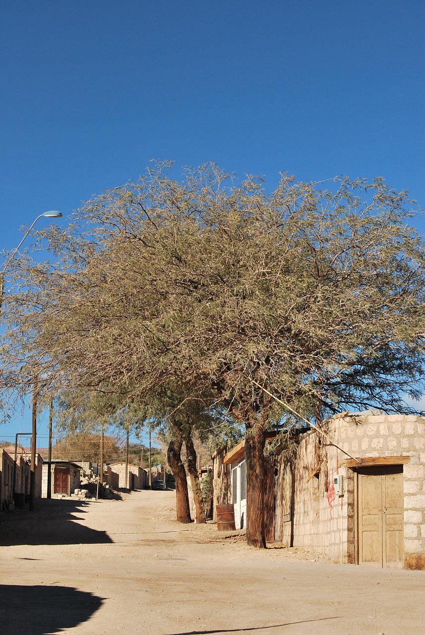 Toconao, al norporiente de la plaza, calle O'Higgins Nro. 153