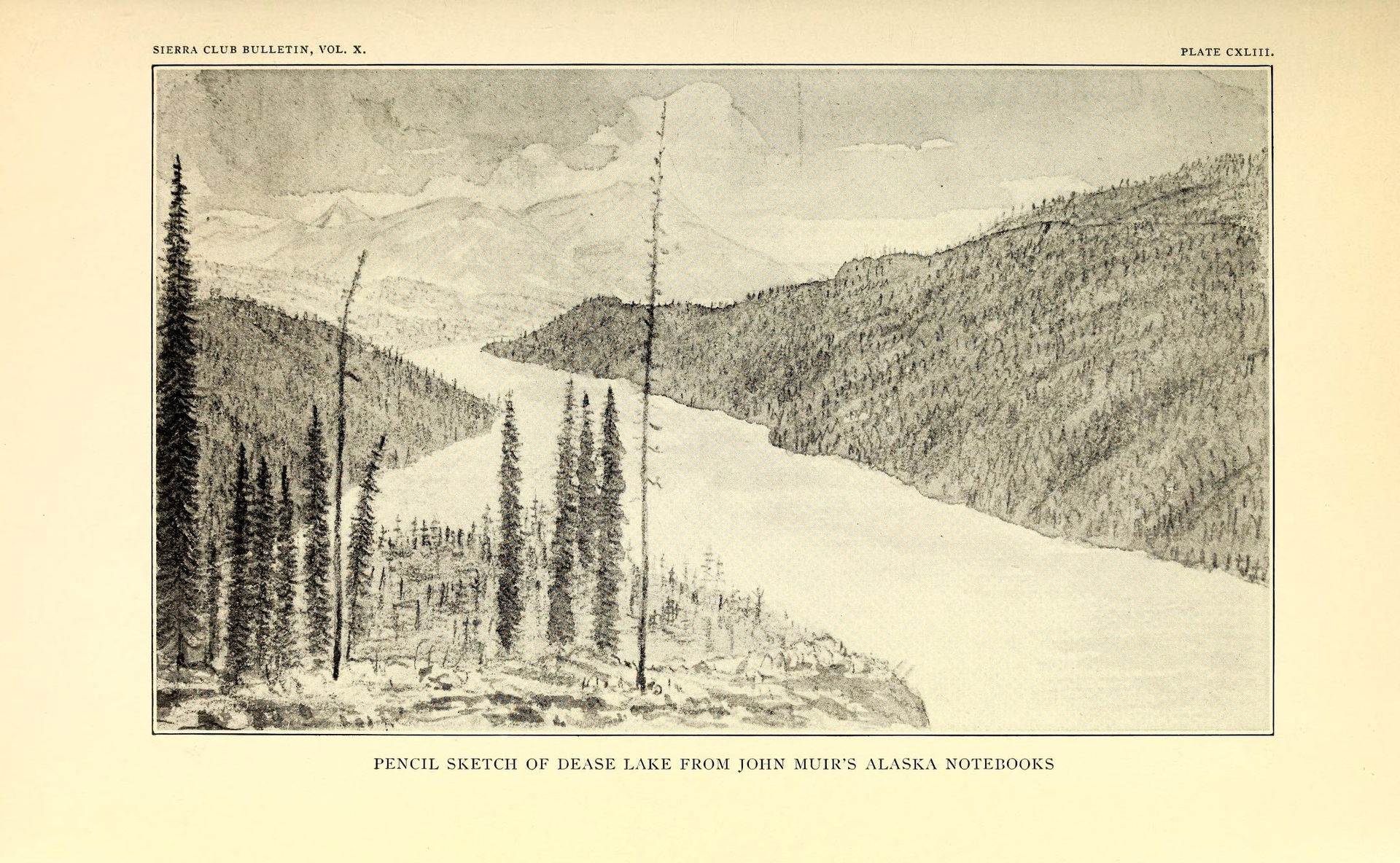 Pencil Sketch of Dease Lake, from John Muir's Alaska Notebooks